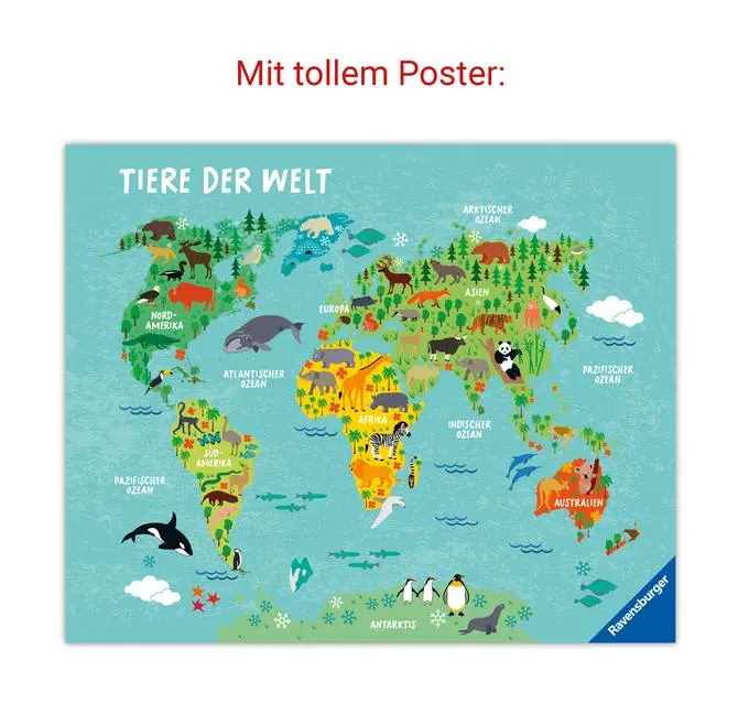Bild: 9783473480616 | Das große Ravensburger Vorschulwissen | Johanna Friedl (u. a.) | Buch