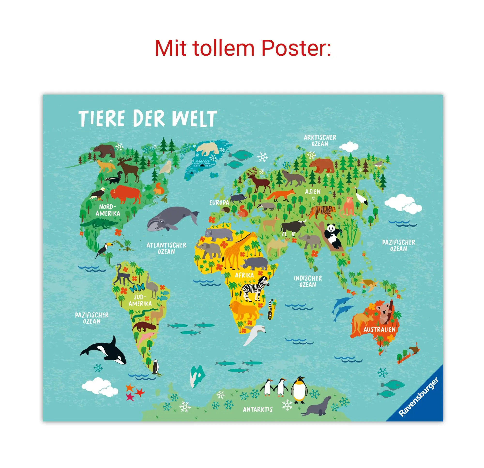 Bild: 9783473480616 | Das große Ravensburger Vorschulwissen | Johanna Friedl (u. a.) | Buch