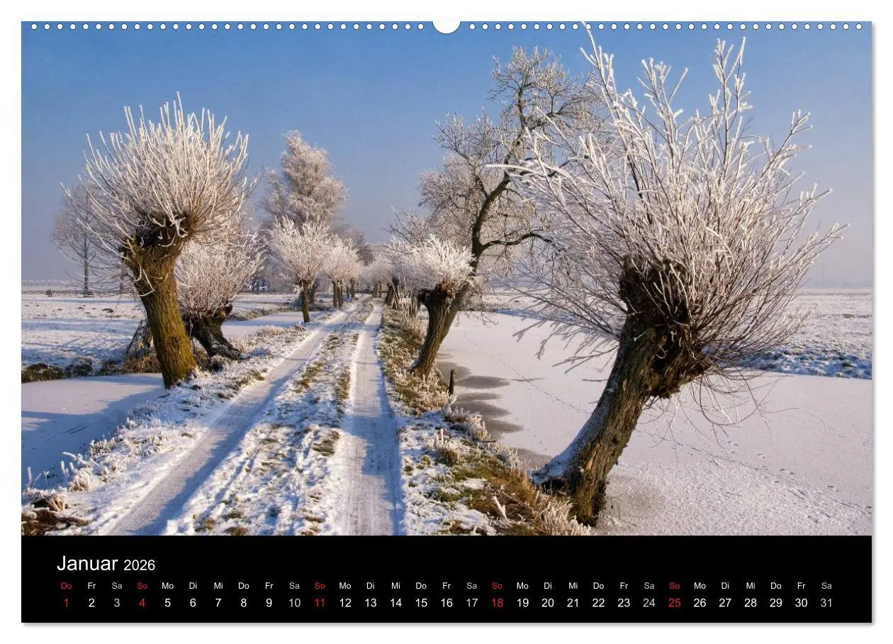 Bild: 9783516040616 | HOLLÄNDISCHE LANDSCHAFTEN: ALBLASSERWAARD 2026 (Wandkalender 2026...