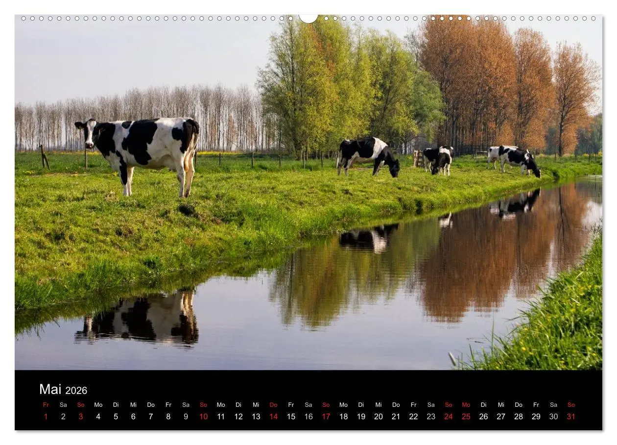 Bild: 9783516040616 | HOLLÄNDISCHE LANDSCHAFTEN: ALBLASSERWAARD 2026 (Wandkalender 2026...