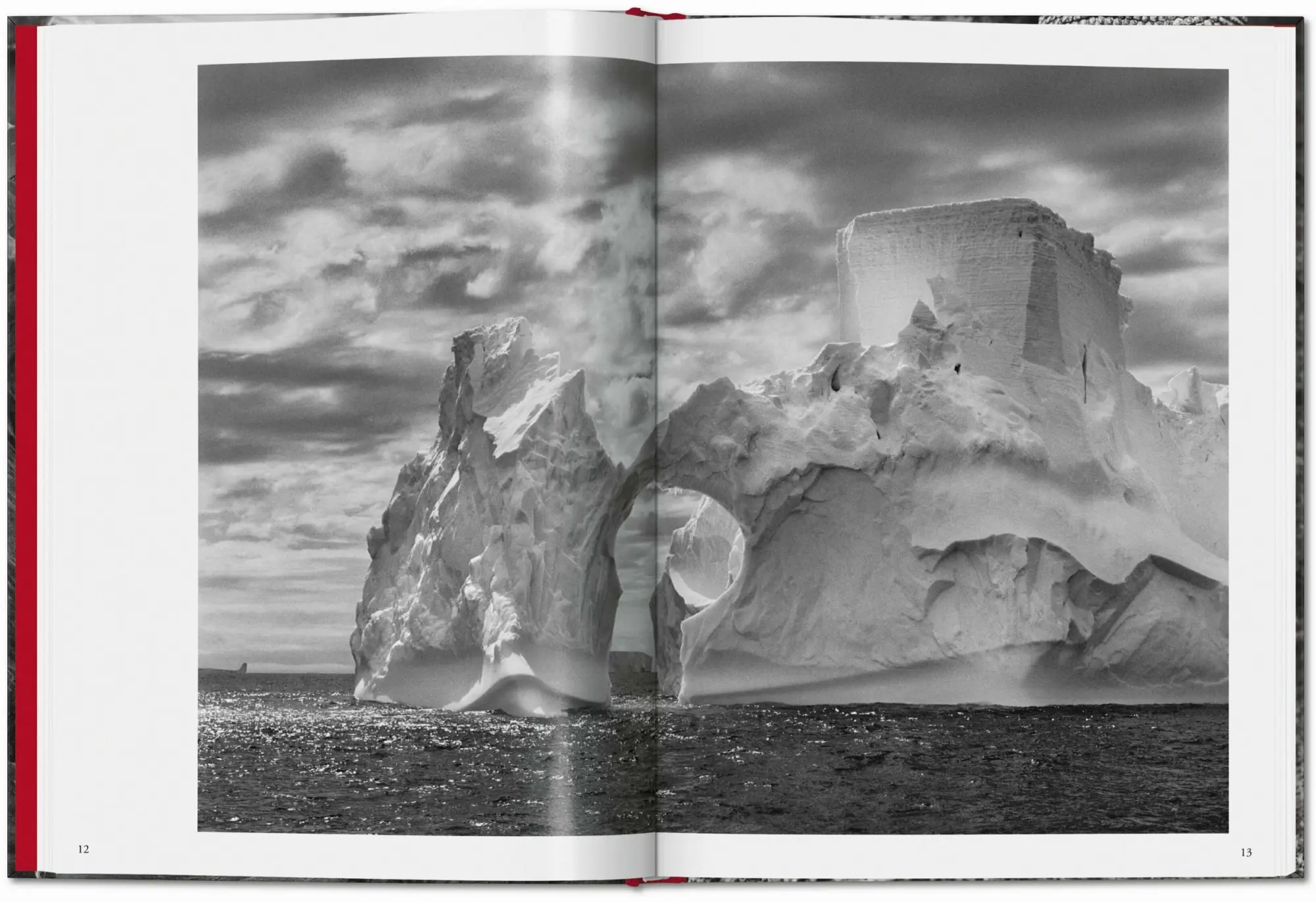 Bild: 9783754400616 | Sebastião Salgado. Genesis | Lélia Wanick Salgado | Buch | 192 S.