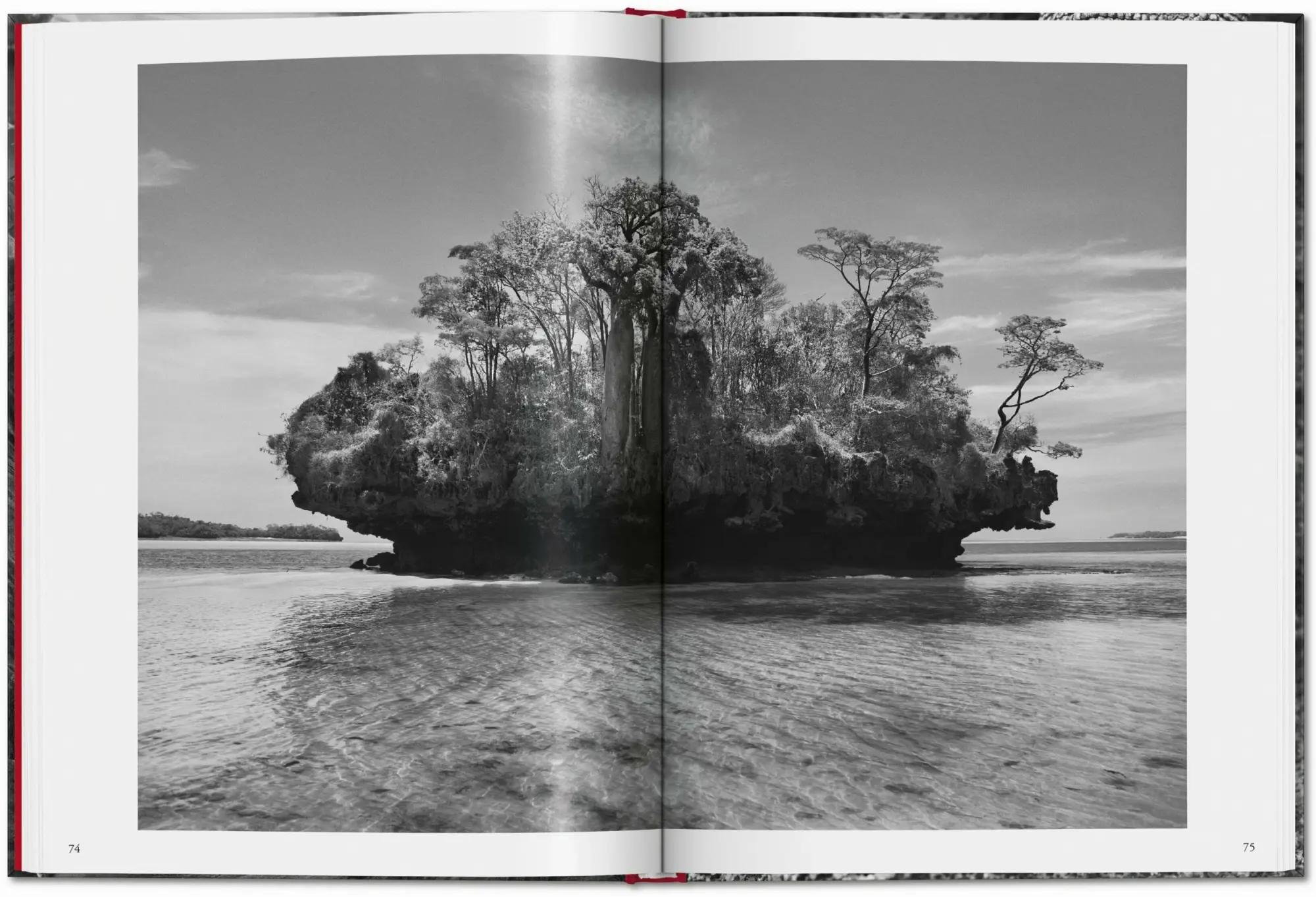 Bild: 9783754400616 | Sebastião Salgado. Genesis | Lélia Wanick Salgado | Buch | 192 S.