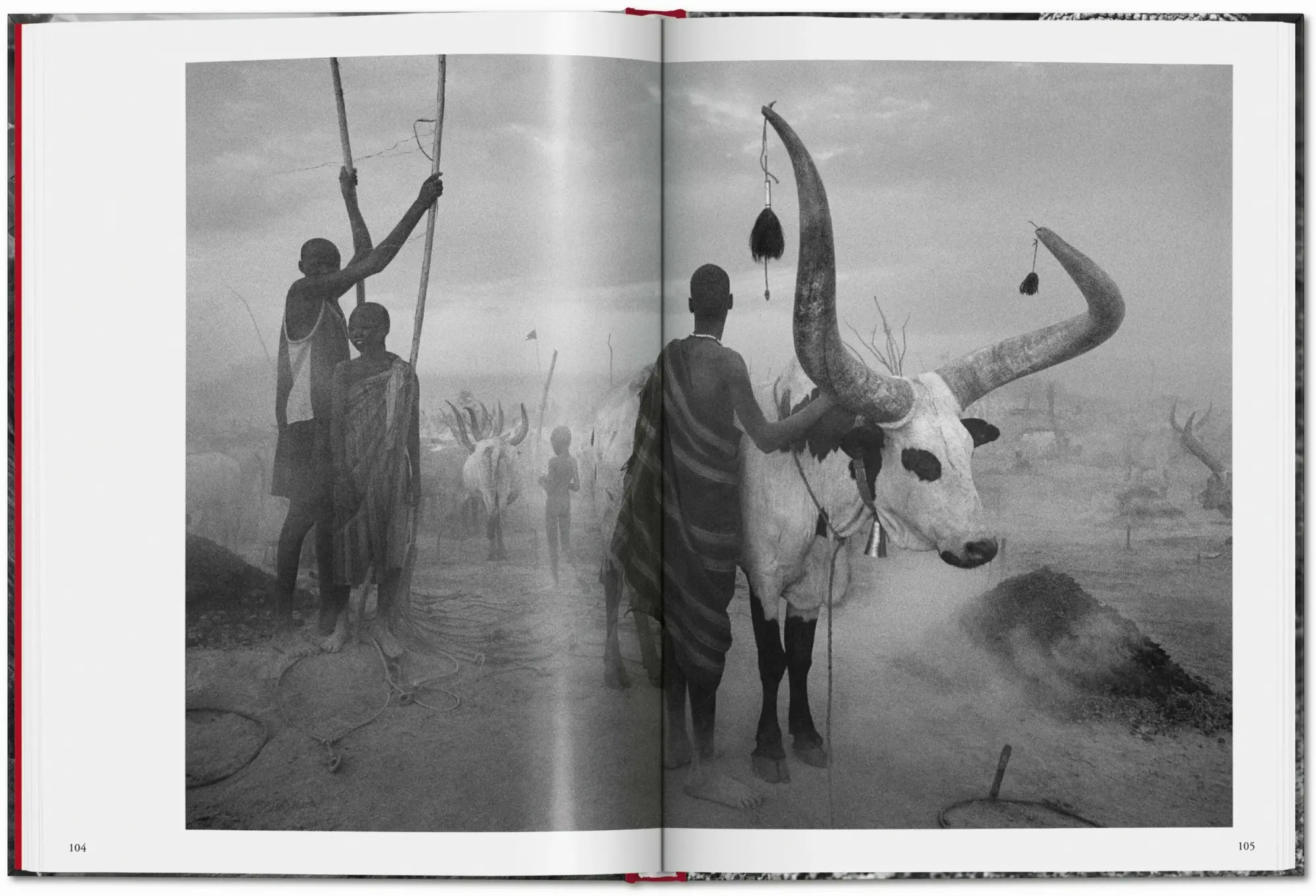 Bild: 9783754400616 | Sebastião Salgado. Genesis | Lélia Wanick Salgado | Buch | 192 S.