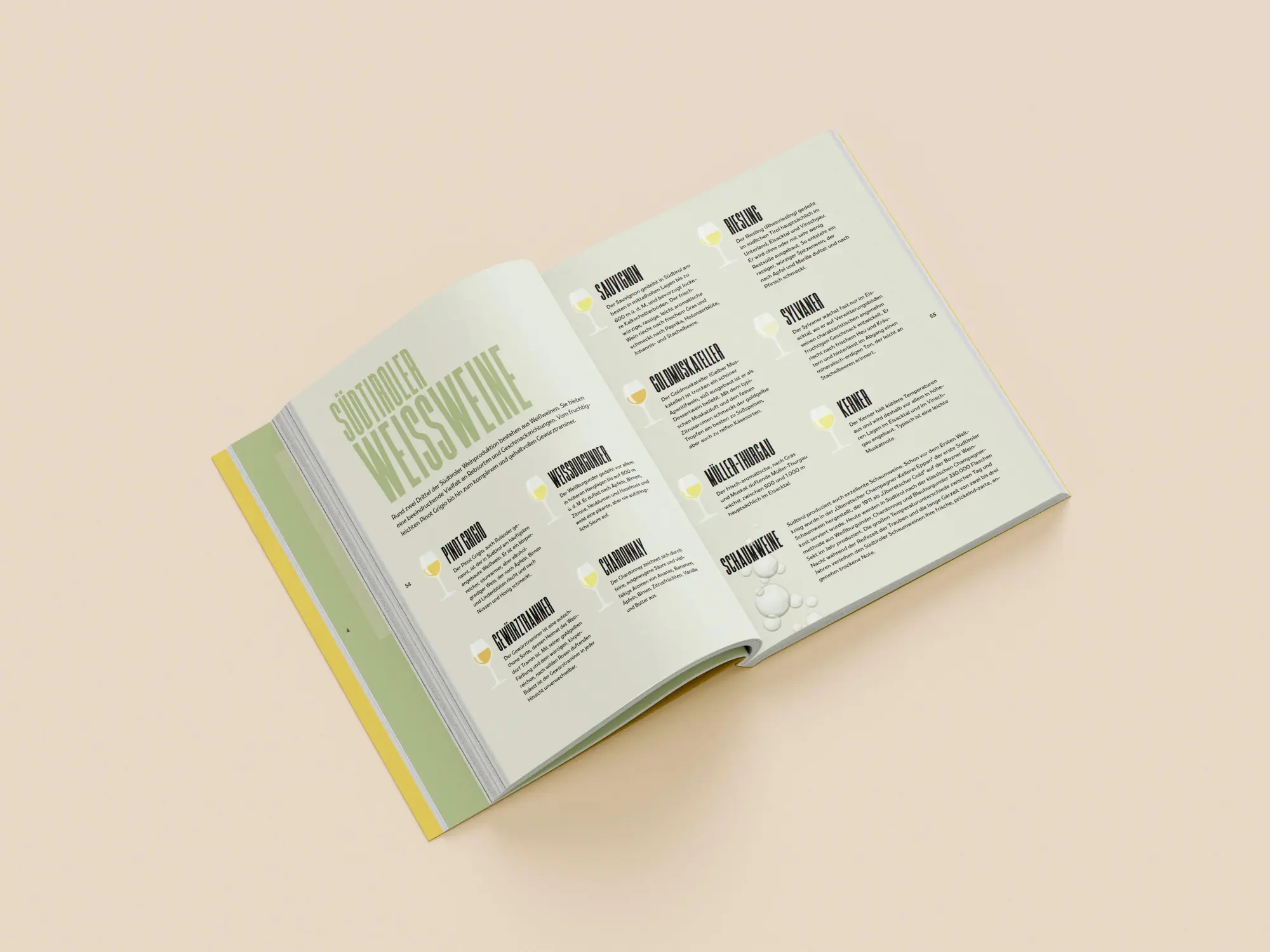 Bild: 9791255320616 | Südtirol - Menschen, Berge, Täler | Christoph Gufler | Buch | Deutsch