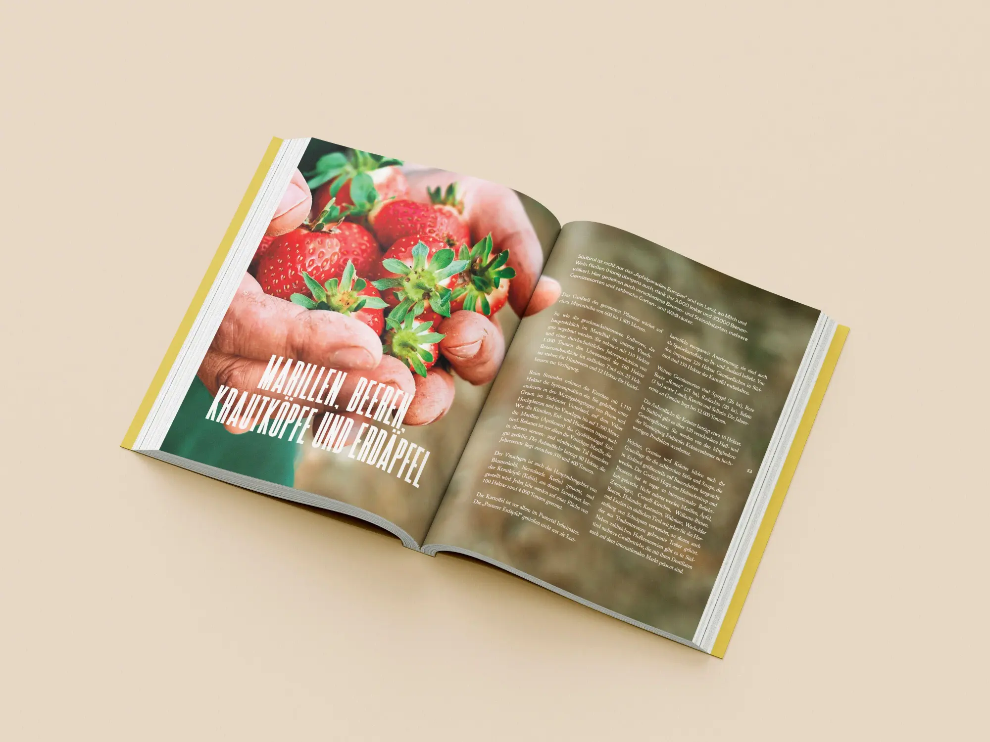 Bild: 9791255320616 | Südtirol - Menschen, Berge, Täler | Christoph Gufler | Buch | Deutsch