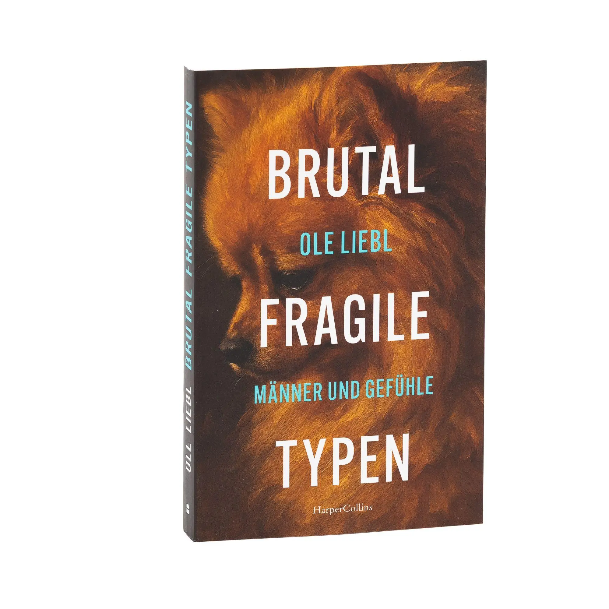 Bild: 9783365010716 | Brutal fragile Typen. Männer und Gefühle | Ole Liebl | Taschenbuch
