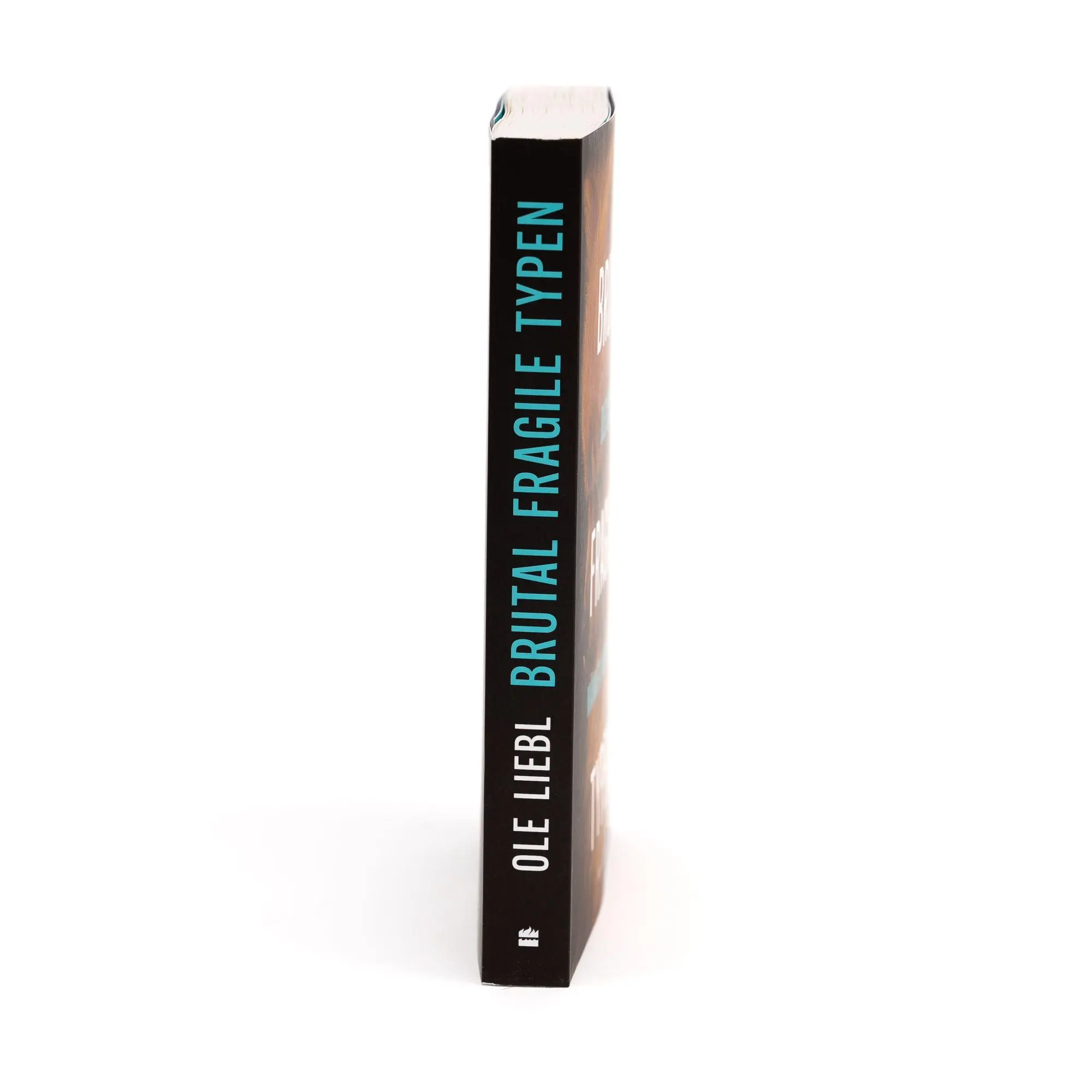 Bild: 9783365010716 | Brutal fragile Typen. Männer und Gefühle | Ole Liebl | Taschenbuch
