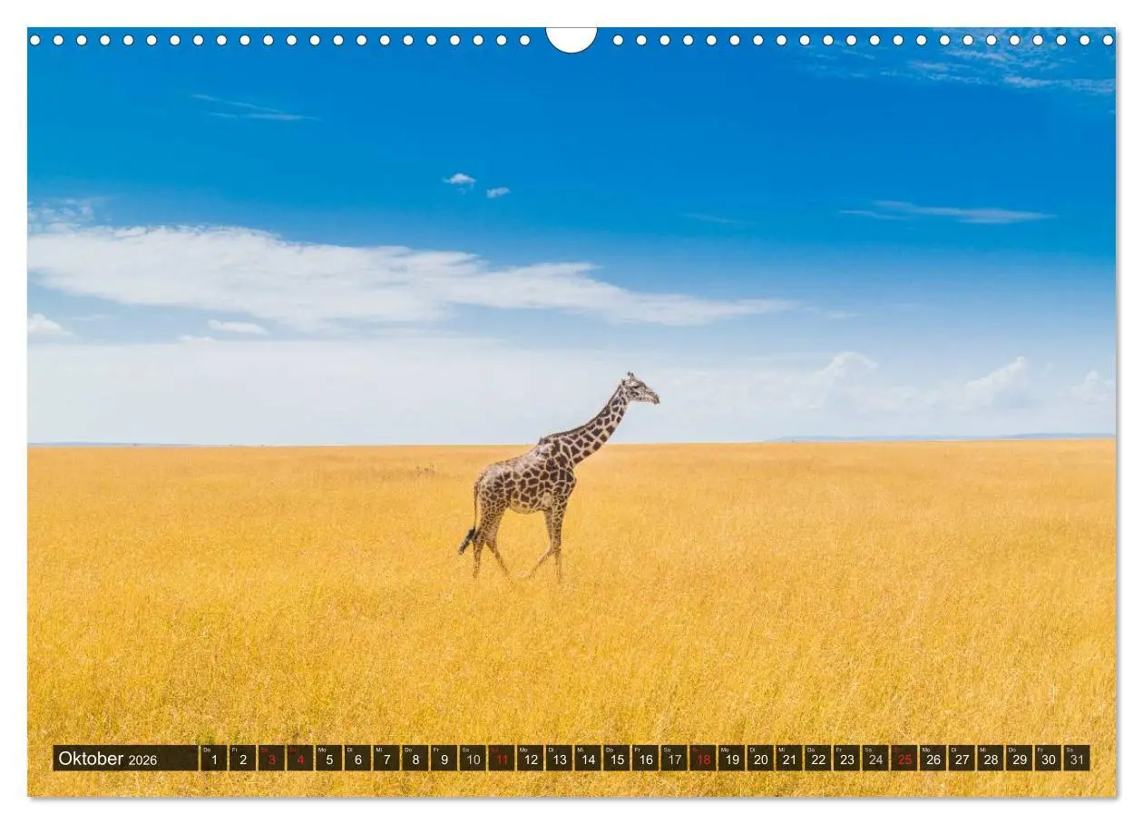 Bild: 9783516020816 | Ostafrika (Wandkalender 2026 DIN A3 quer), CALVENDO Monatskalender