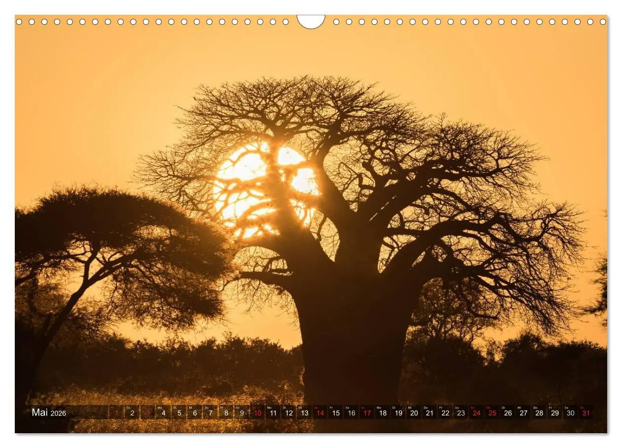 Bild: 9783516020816 | Ostafrika (Wandkalender 2026 DIN A3 quer), CALVENDO Monatskalender