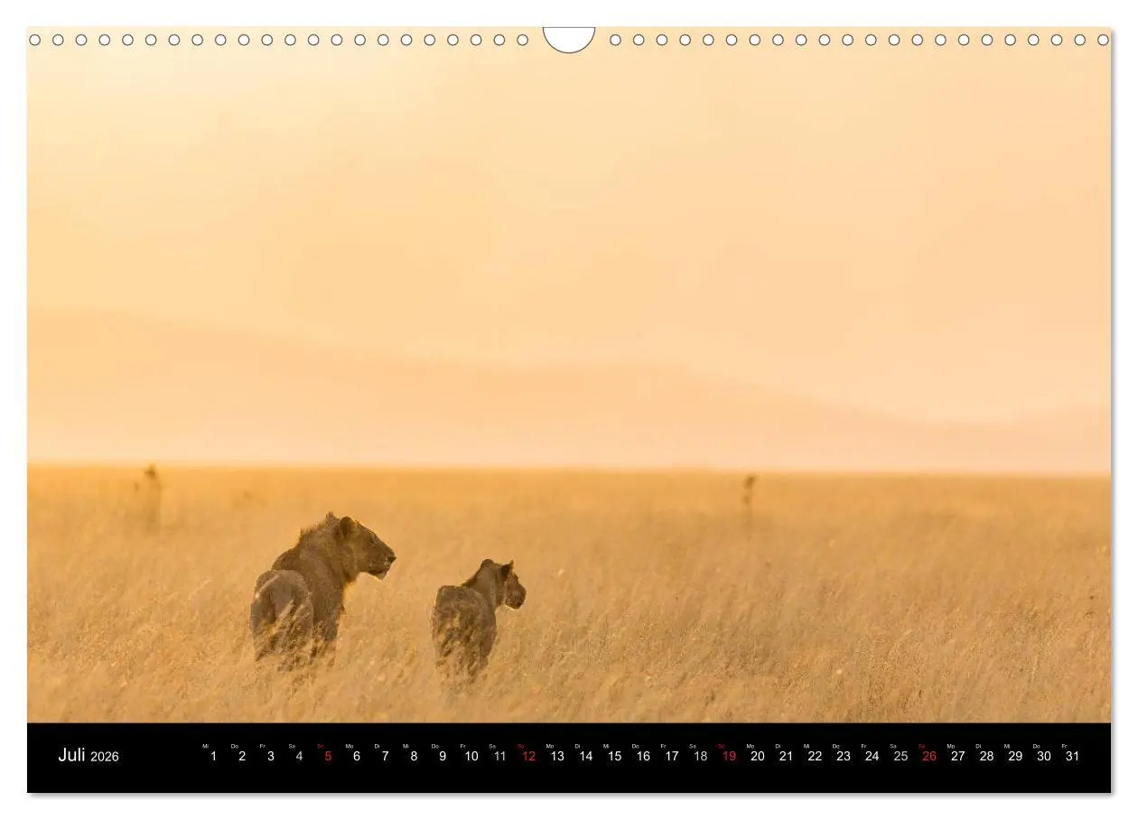 Bild: 9783516020816 | Ostafrika (Wandkalender 2026 DIN A3 quer), CALVENDO Monatskalender