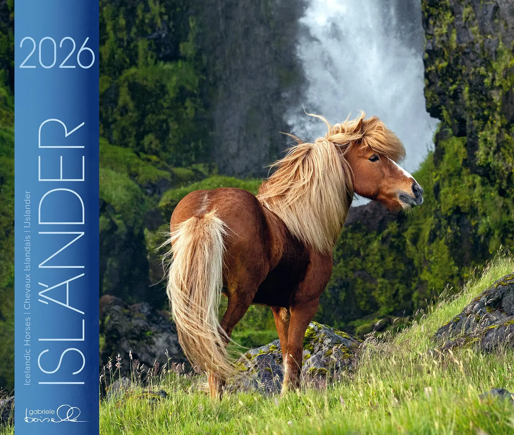 Cover: 9783964120816 | Isländer 2026 | Isländische Pferde | Gabriele Boiselle | Kalender