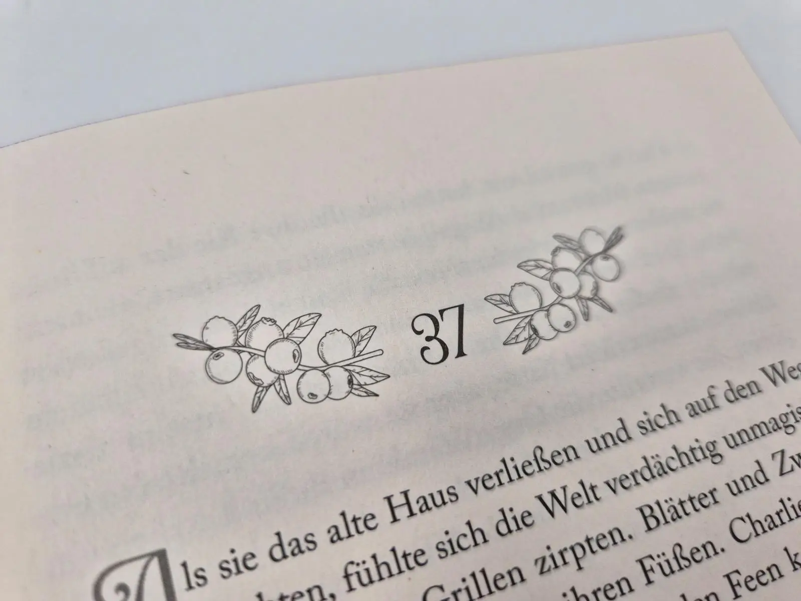 Bild: 9783492710916 | Soul of Shadow | Emma Noyes | Taschenbuch | 400 S. | Deutsch | 2026