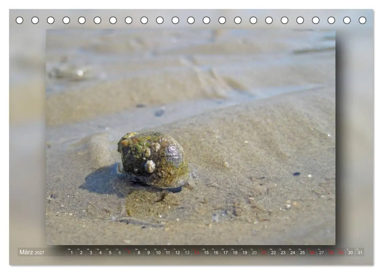 Bild: 9783594090916 | Baltrum - Ein Tag am Strand (Tischkalender 2027 DIN A5 quer),...