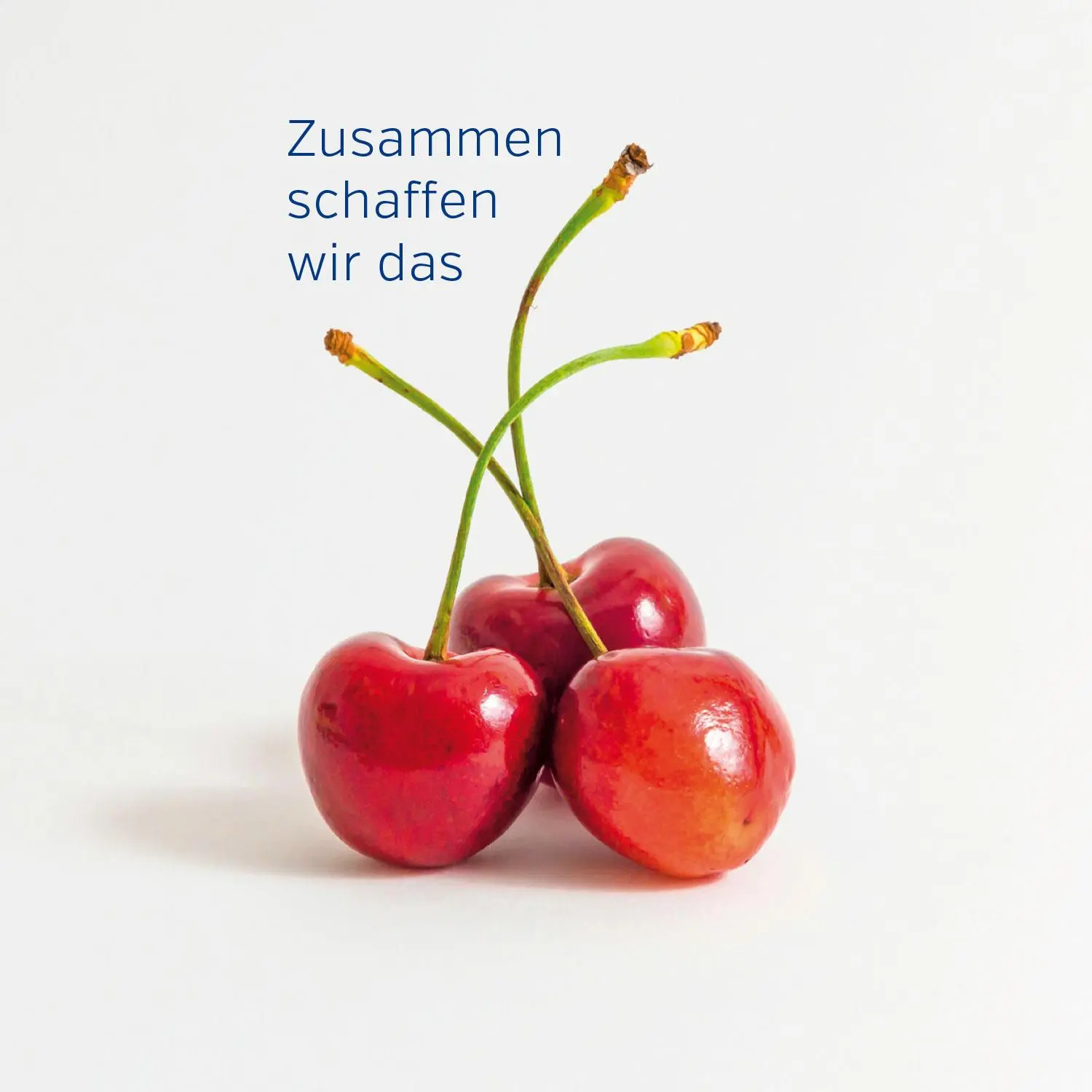 Bild: 4027537001016 | Gute Laune Block Wellness | Zum Geburtstag | 48 S. | Deutsch | 2025