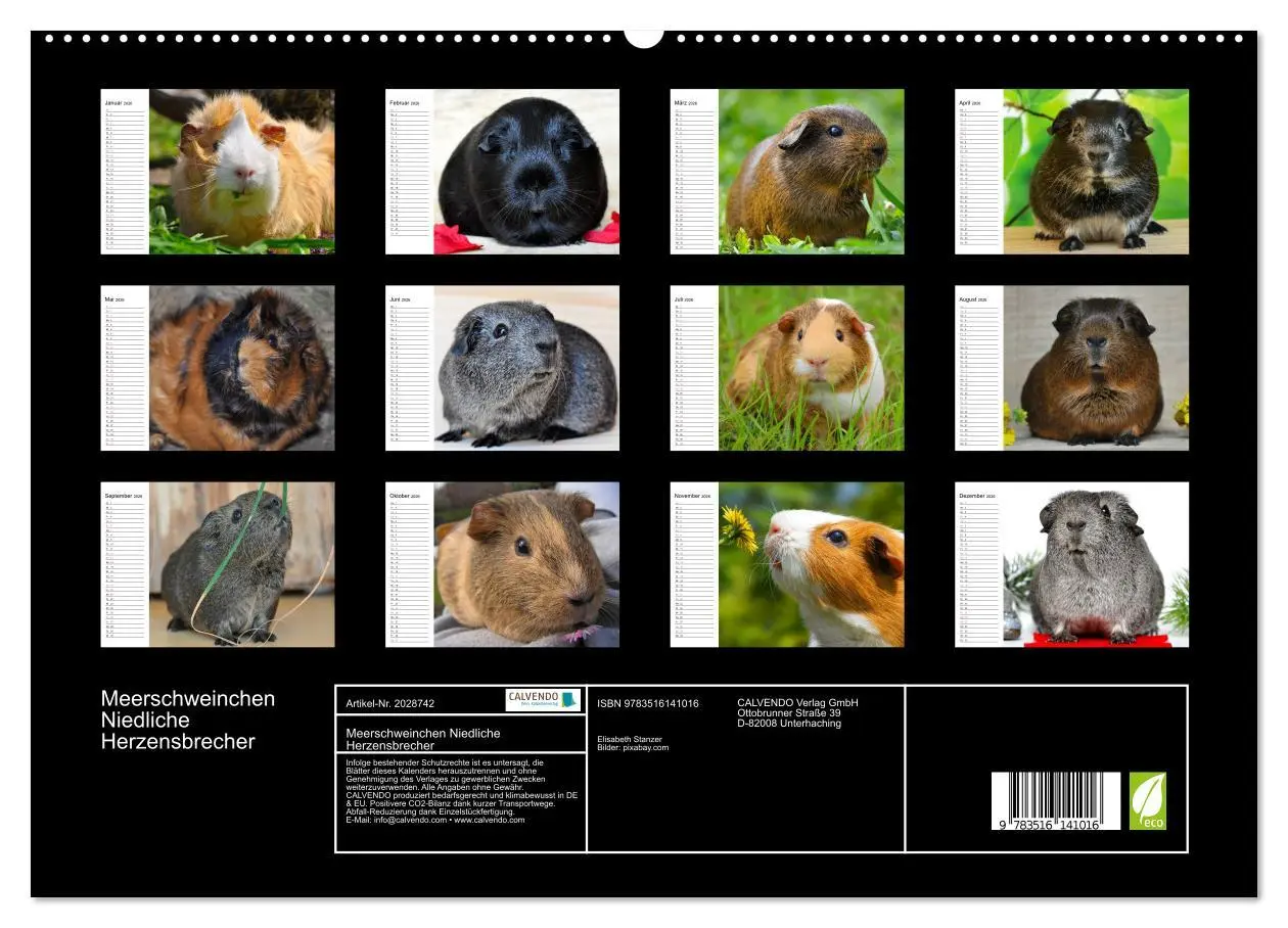 Bild: 9783516141016 | Meerschweinchen Niedliche Herzensbrecher (hochwertiger Premium...