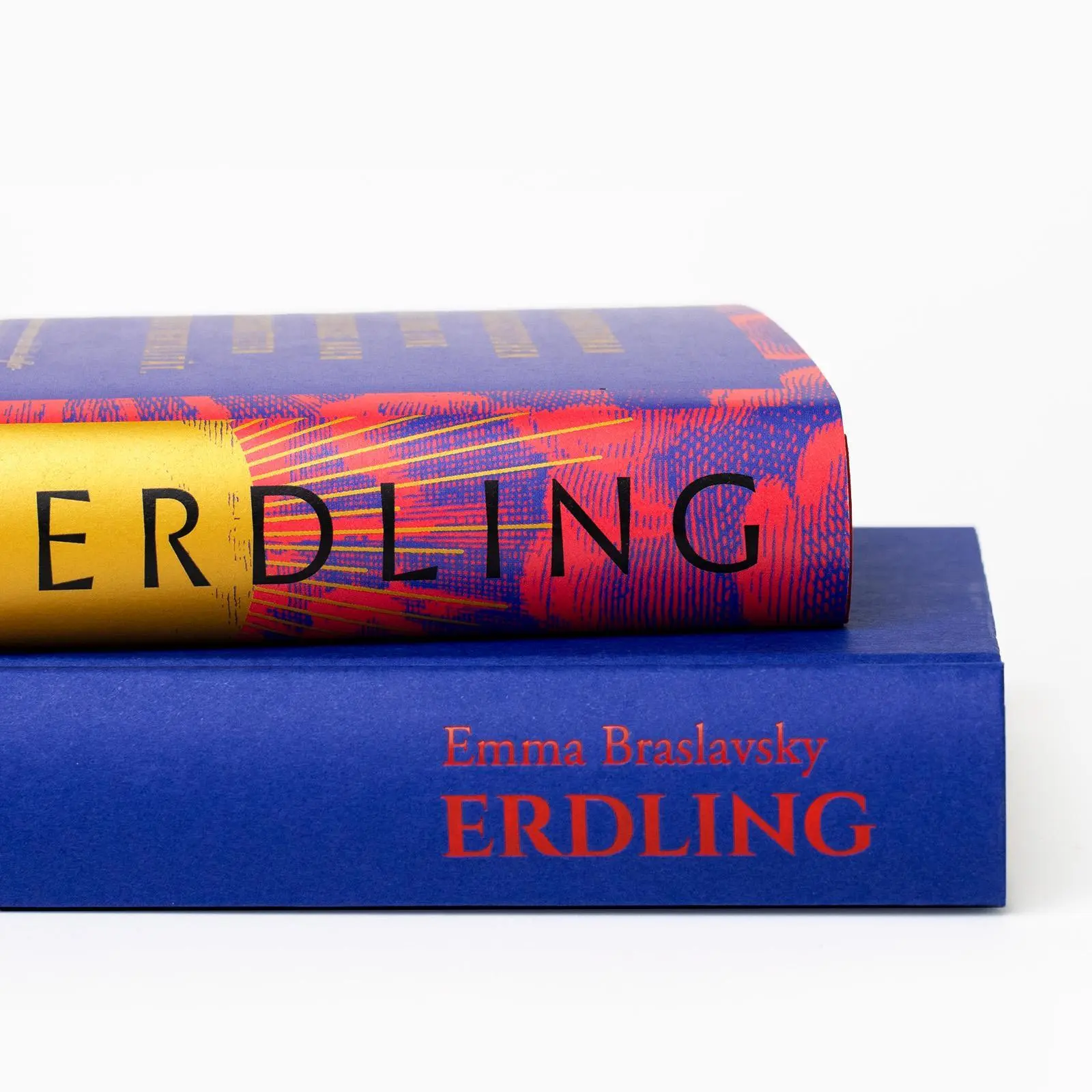 Bild: 9783518431016 | Erdling | Emma Braslavsky | Buch | 425 S. | Deutsch | 2023
