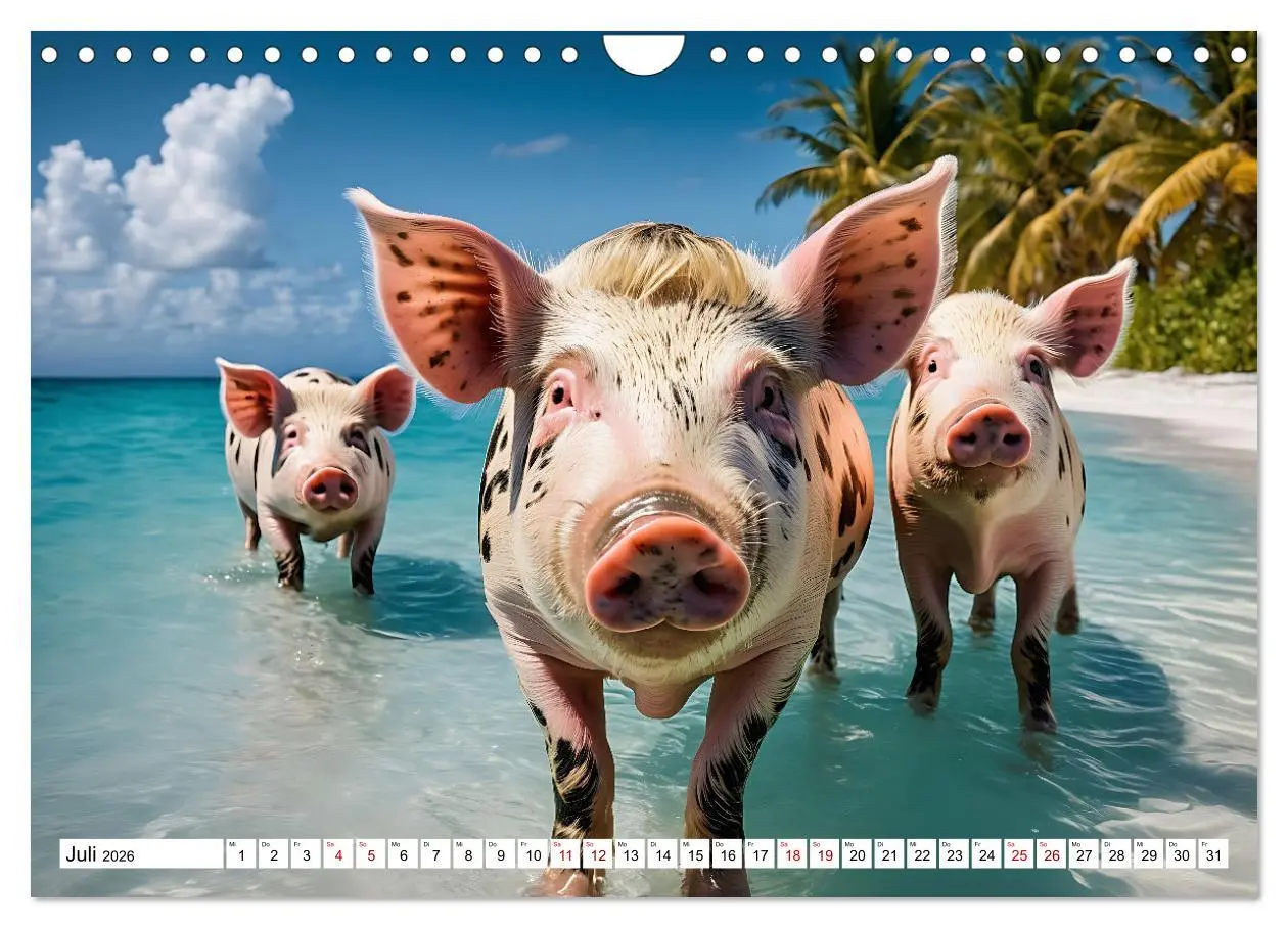Bild: 9783457351116 | Schwimmende Schweine im Paradies (Wandkalender 2026 DIN A4 quer),...