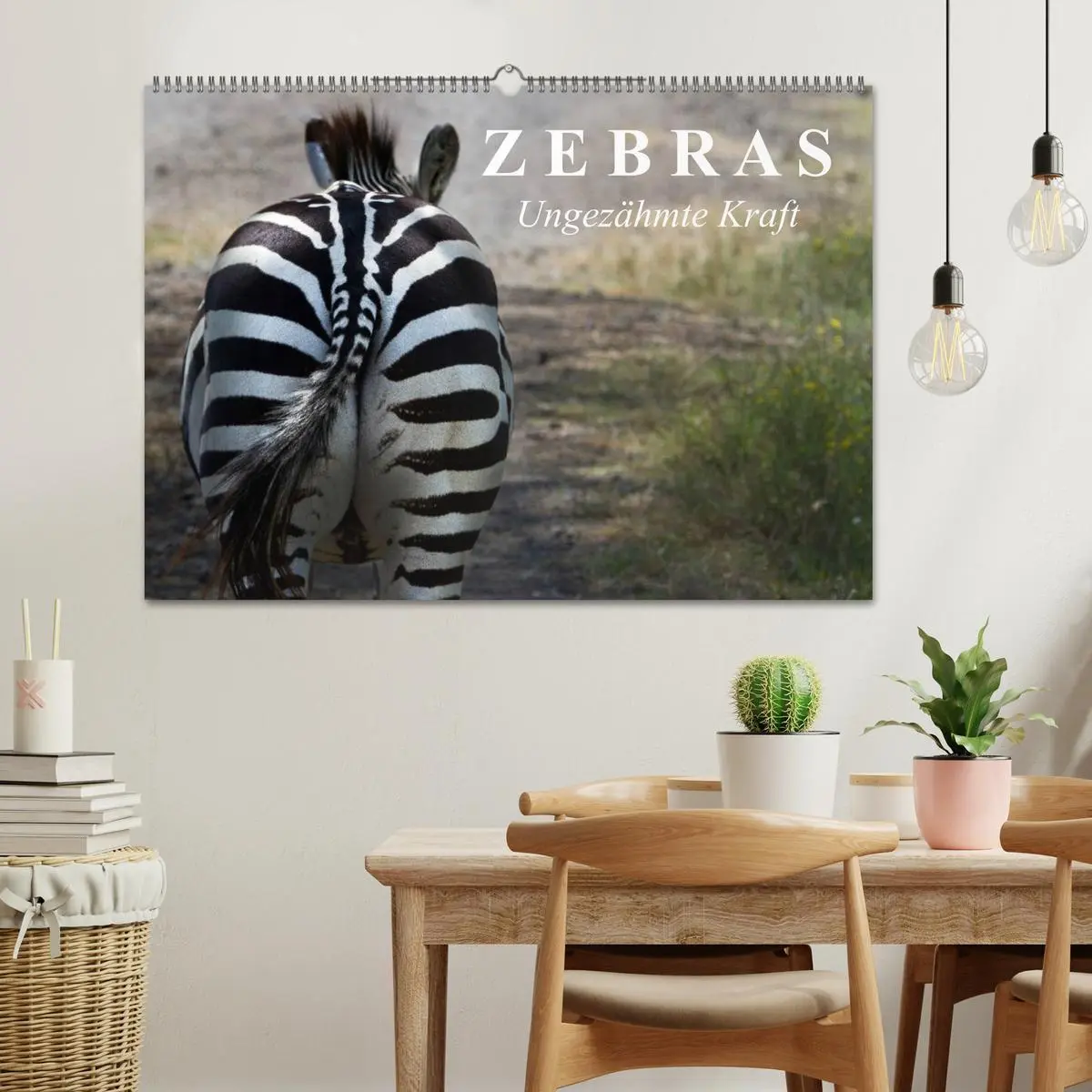 Bild: 9783516131116 | Zebras - Ungezähmte Kraft (Wandkalender 2026 DIN A2 quer), CALVENDO...