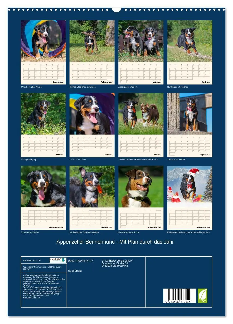 Bild: 9783516371116 | Appenzeller Sennenhund - Mit Plan durch das Jahr (hochwertiger...