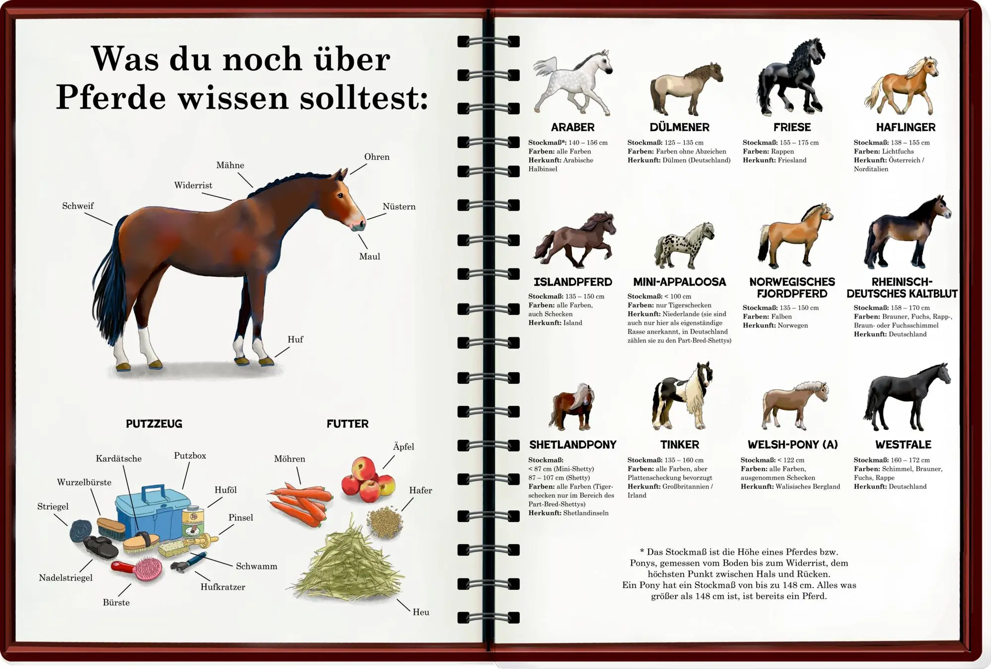 Bild: 9783649651116 | Mein riesengroßes WimmelSuchBuch: Pferde &amp; Ponys | Antje Flad | Buch
