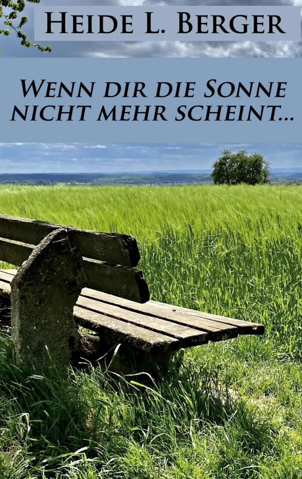 Cover: 9783758311116 | Wenn dir die Sonne nicht mehr scheint... | Heide L. Berger | Buch