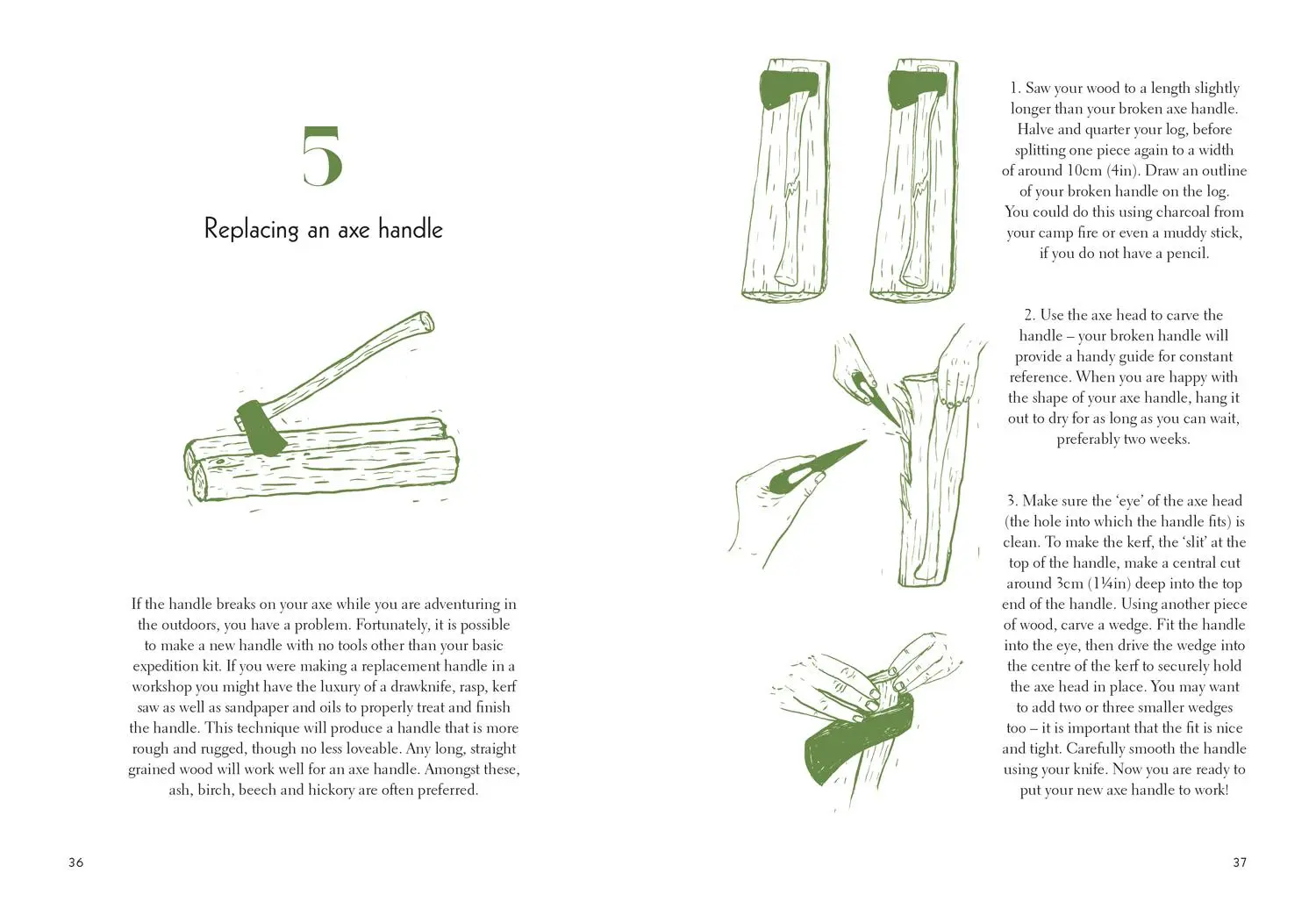 Bild: 9781911641216 | Fifty Things to Do in the Wild | Richard Skrein | Buch | Gebunden