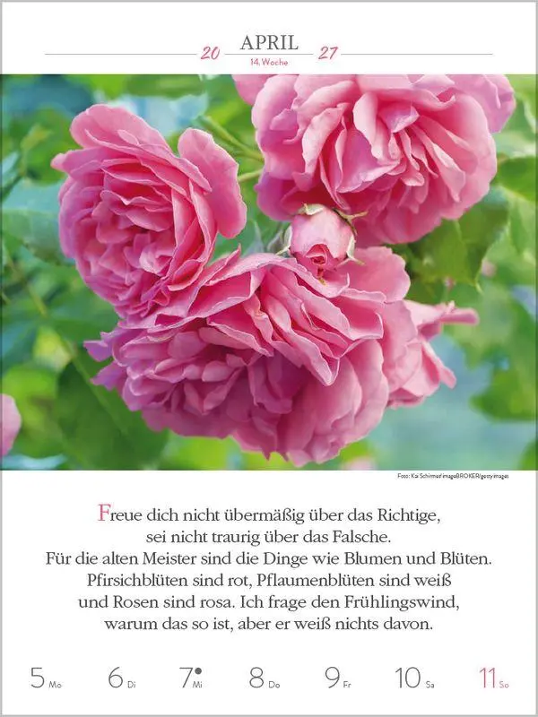 Bild: 9783819301216 | Buddhistische Weisheiten 2027 | Korsch Verlag | Kalender | 54 S.
