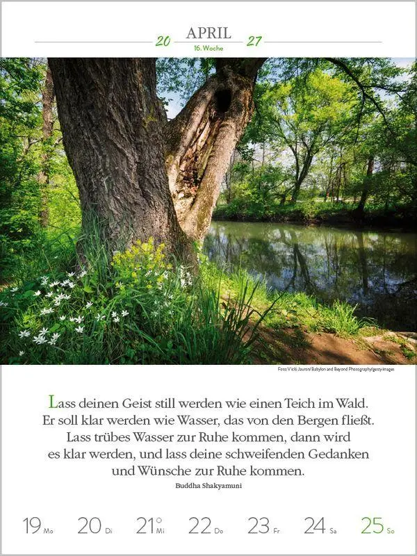 Bild: 9783819301216 | Buddhistische Weisheiten 2027 | Korsch Verlag | Kalender | 54 S.