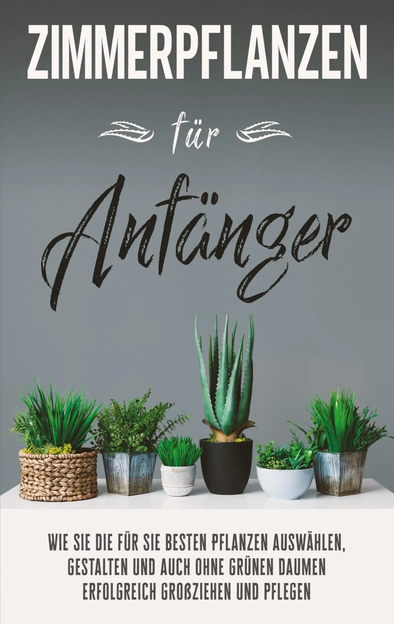 Cover: 9783756861316 | Zimmerpflanzen für Anfänger | Katharina Reeder | Taschenbuch | 80 S.