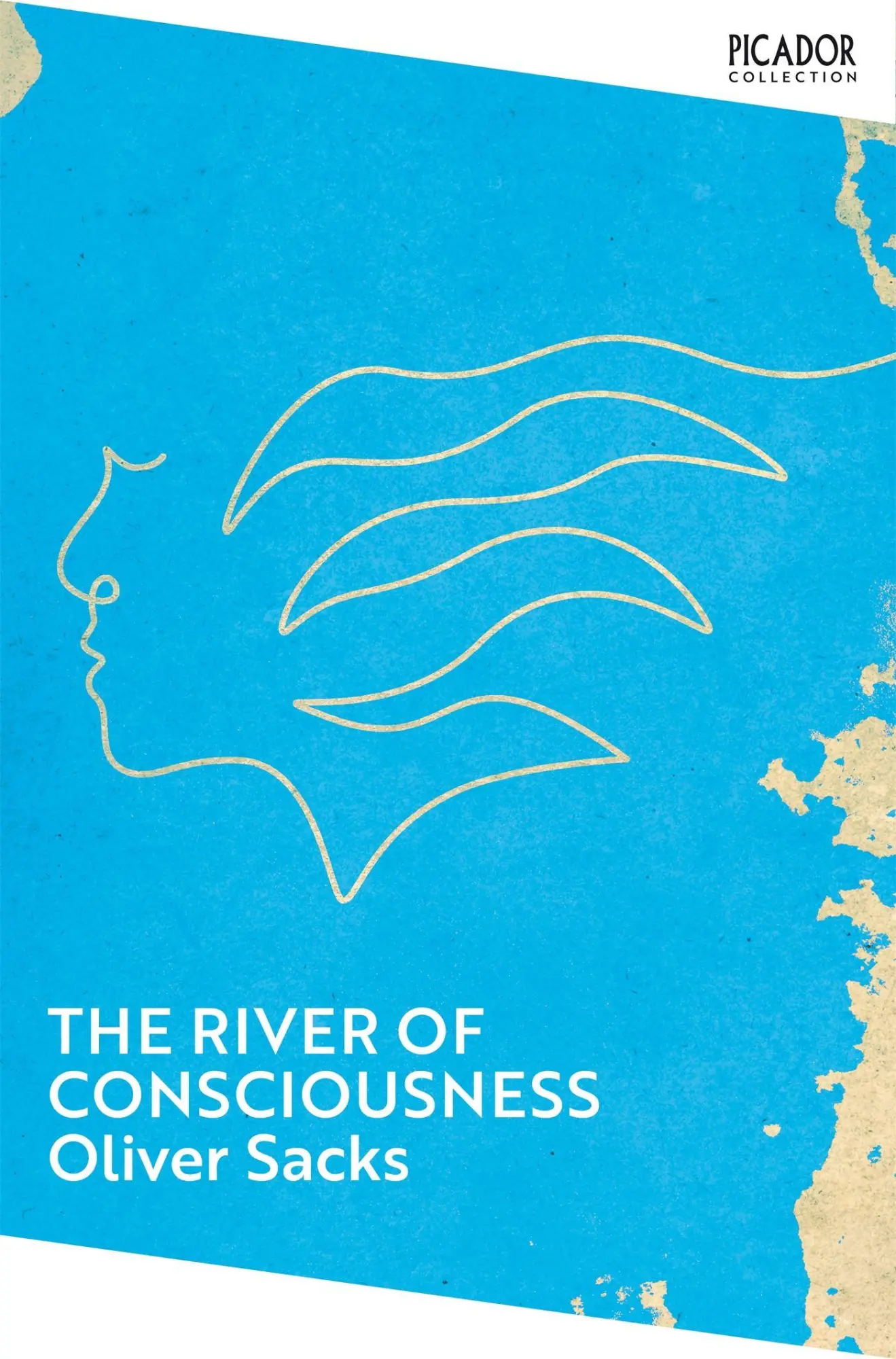 Cover: 9781035091416 | The River of Consciousness | Oliver Sacks | Taschenbuch | Englisch