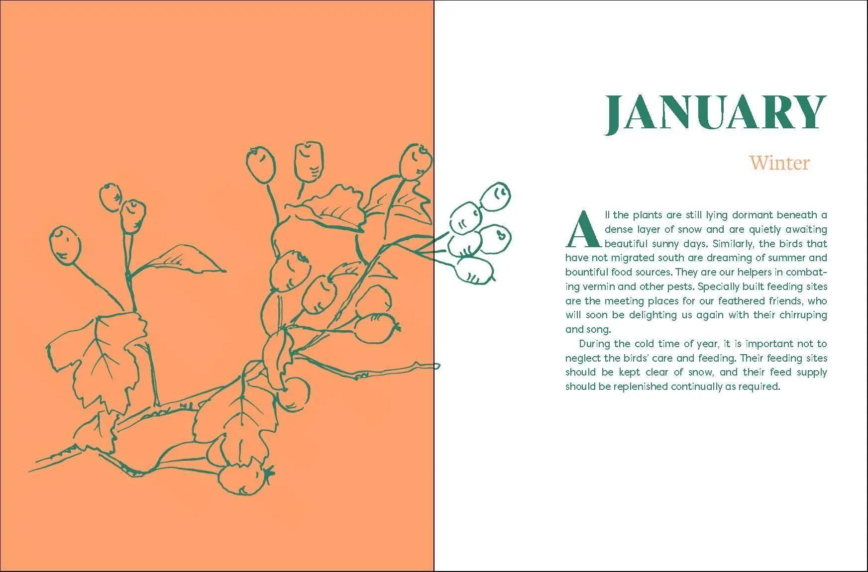 Bild: 9781643261416 | The Month-By-Month Gardening Guide | Franz Bohmig | Taschenbuch | 2022