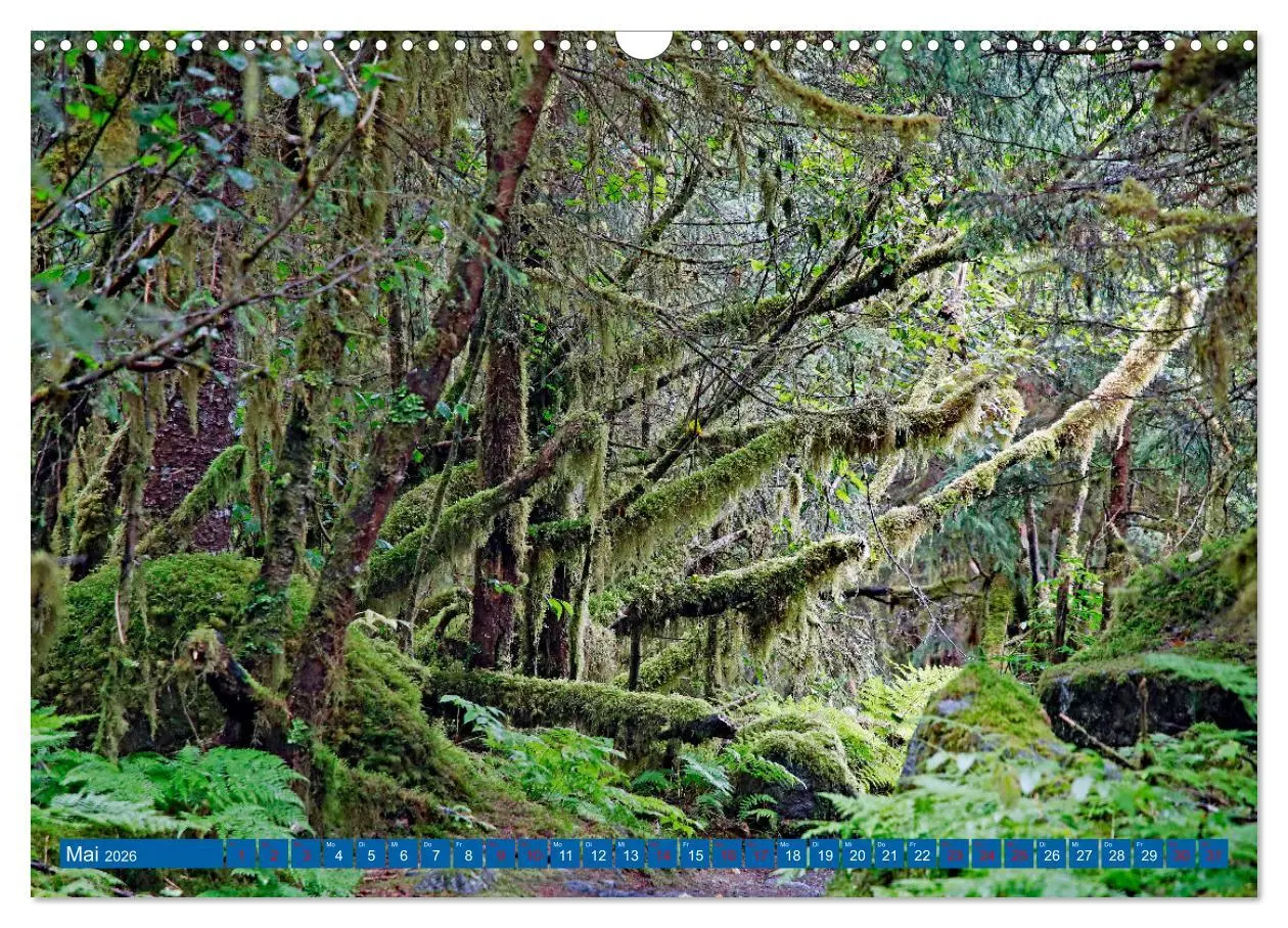 Bild: 9783457321416 | Von Vancouver nach Alaska (Wandkalender 2026 DIN A3 quer), CALVENDO...