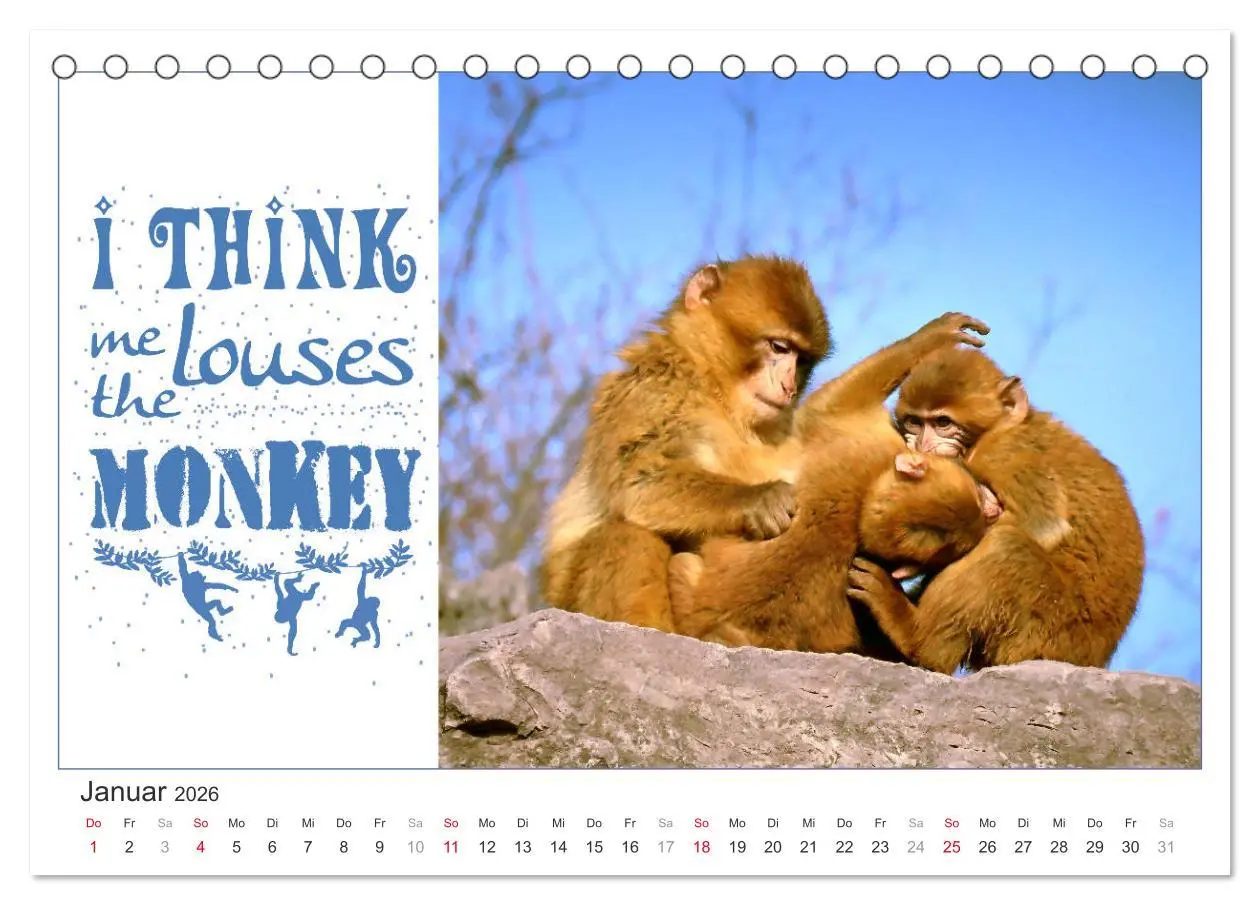 Bild: 9783457701416 | Tierisch Denglisch (Tischkalender 2026 DIN A5 quer), CALVENDO...