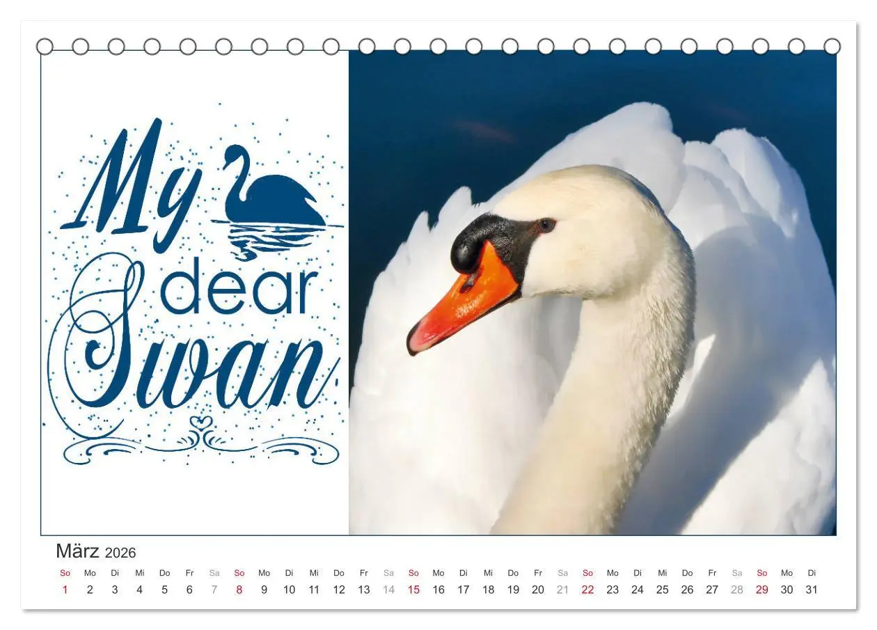 Bild: 9783457701416 | Tierisch Denglisch (Tischkalender 2026 DIN A5 quer), CALVENDO...