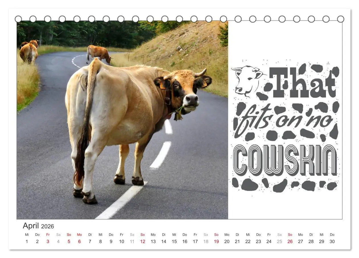 Bild: 9783457701416 | Tierisch Denglisch (Tischkalender 2026 DIN A5 quer), CALVENDO...