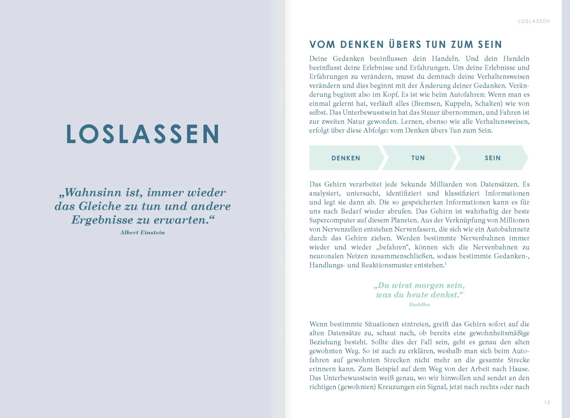 Bild: 9783981891416 | THE NEW YOU (mint) - Das Buch, das dein Leben verändert. | Iris Reiche