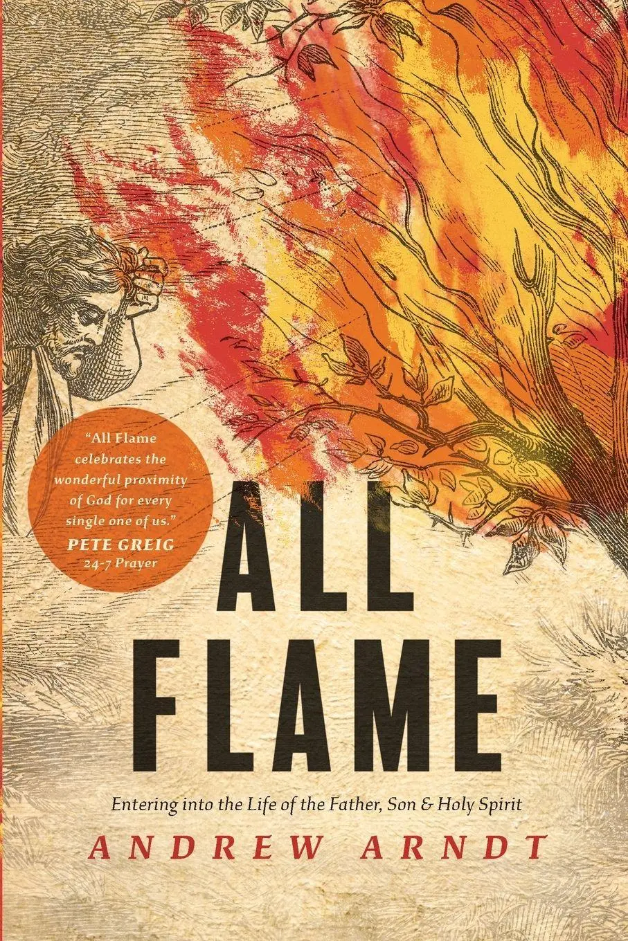 Cover: 9781641581516 | All Flame | Andrew Arndt | Taschenbuch | Kartoniert / Broschiert