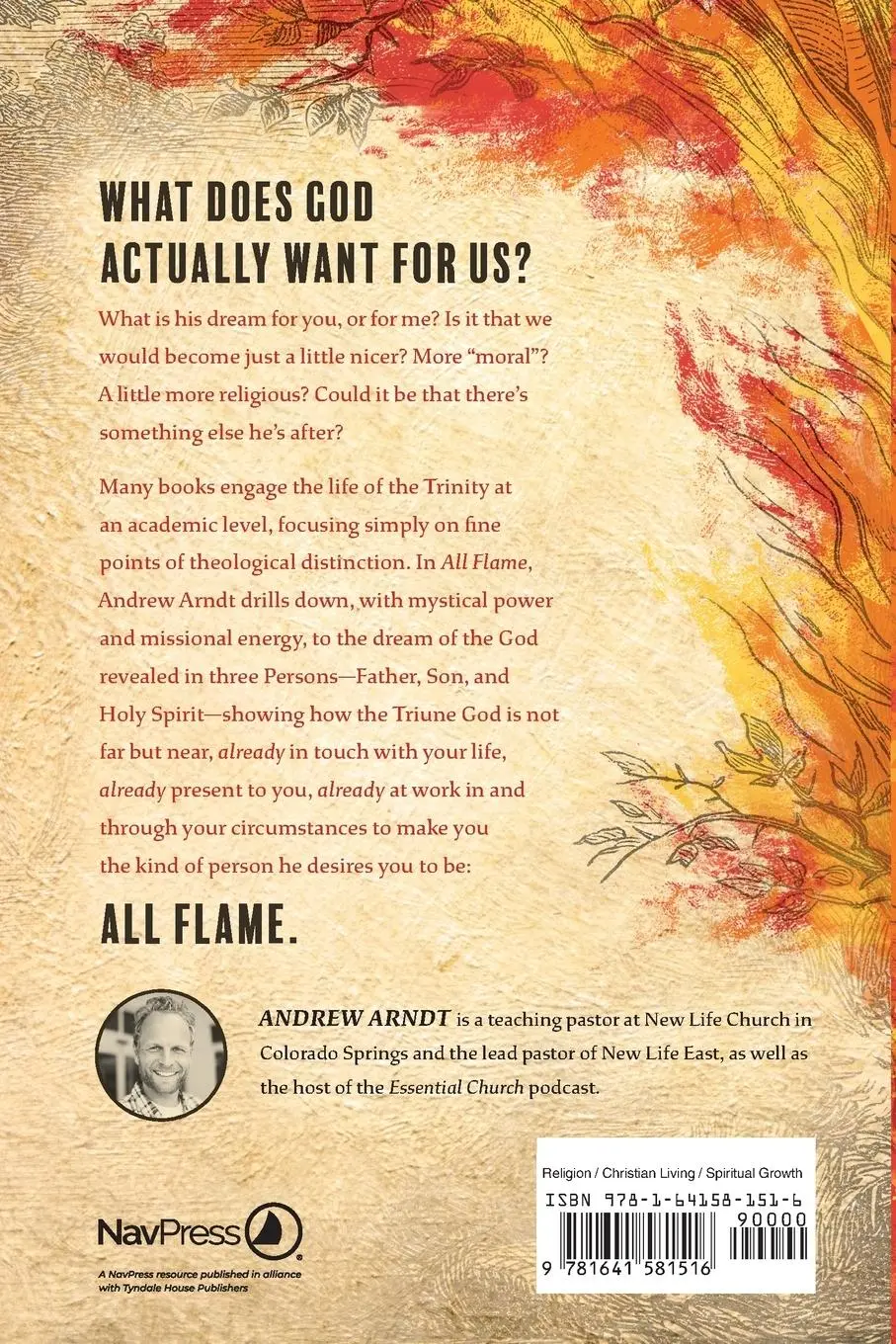 Rückseite: 9781641581516 | All Flame | Andrew Arndt | Taschenbuch | Kartoniert / Broschiert