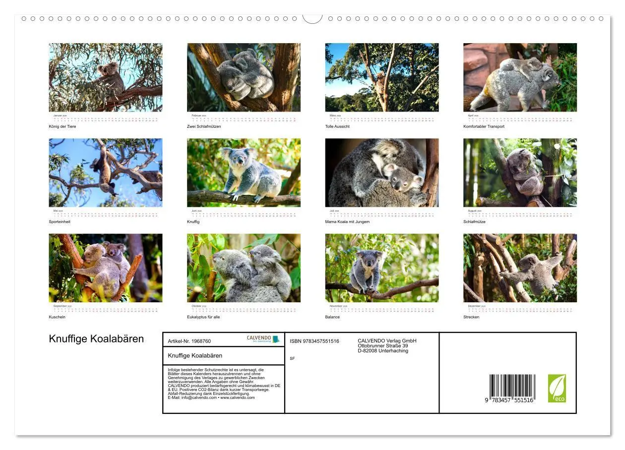 Bild: 9783457551516 | Knuffige Koalabären (hochwertiger Premium Wandkalender 2026 DIN A2...