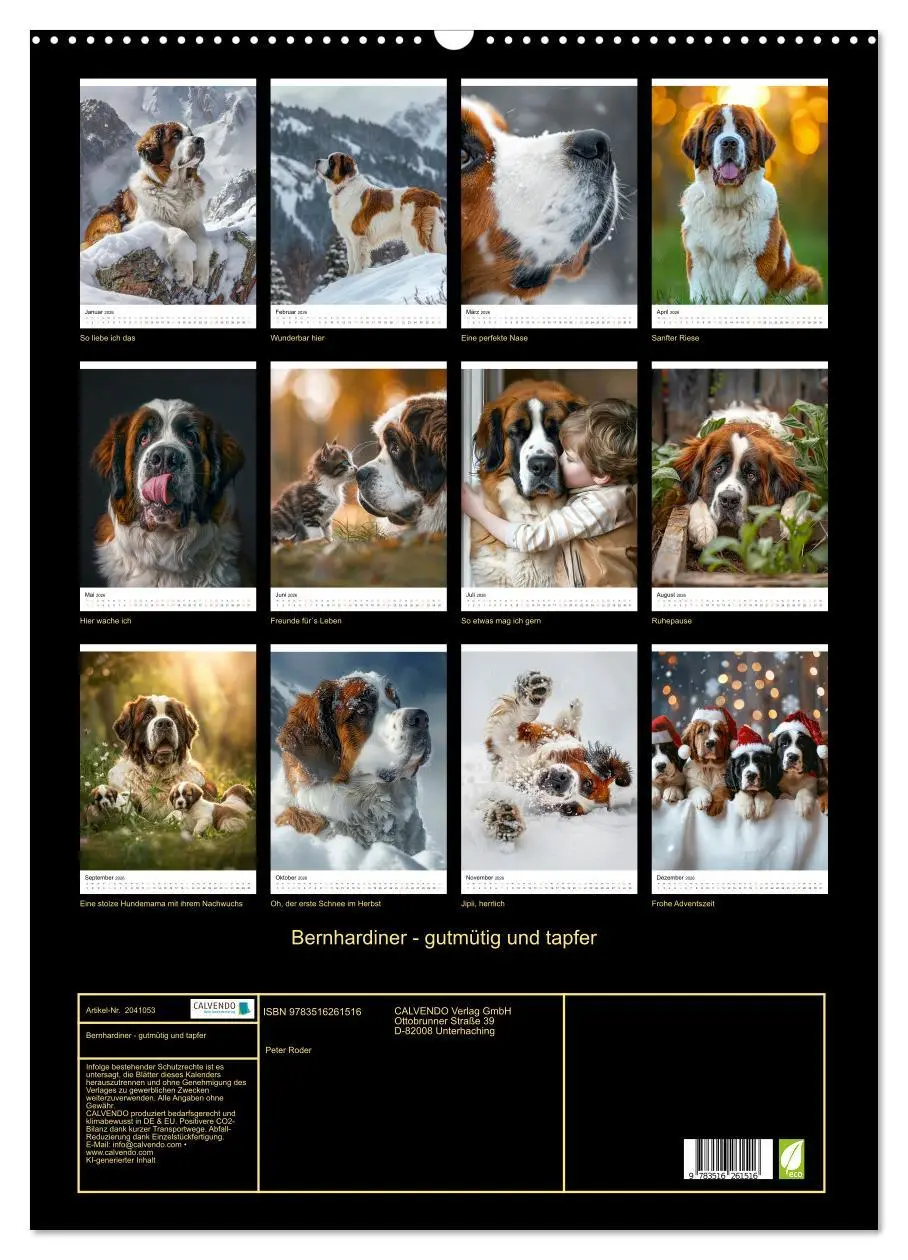 Bild: 9783516261516 | Bernhardiner - gutmütig und tapfer (Wandkalender 2026 DIN A2 hoch),...