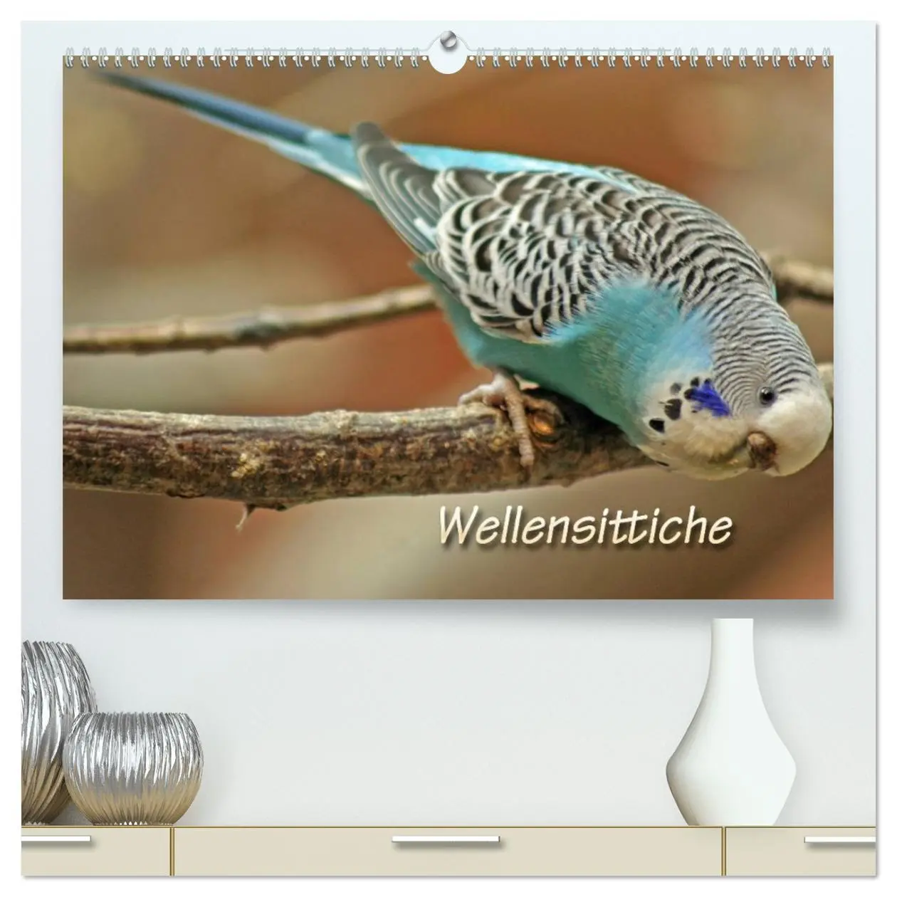 Cover: 9783516181616 | Wellensittiche (hochwertiger Premium Wandkalender 2026 DIN A2...