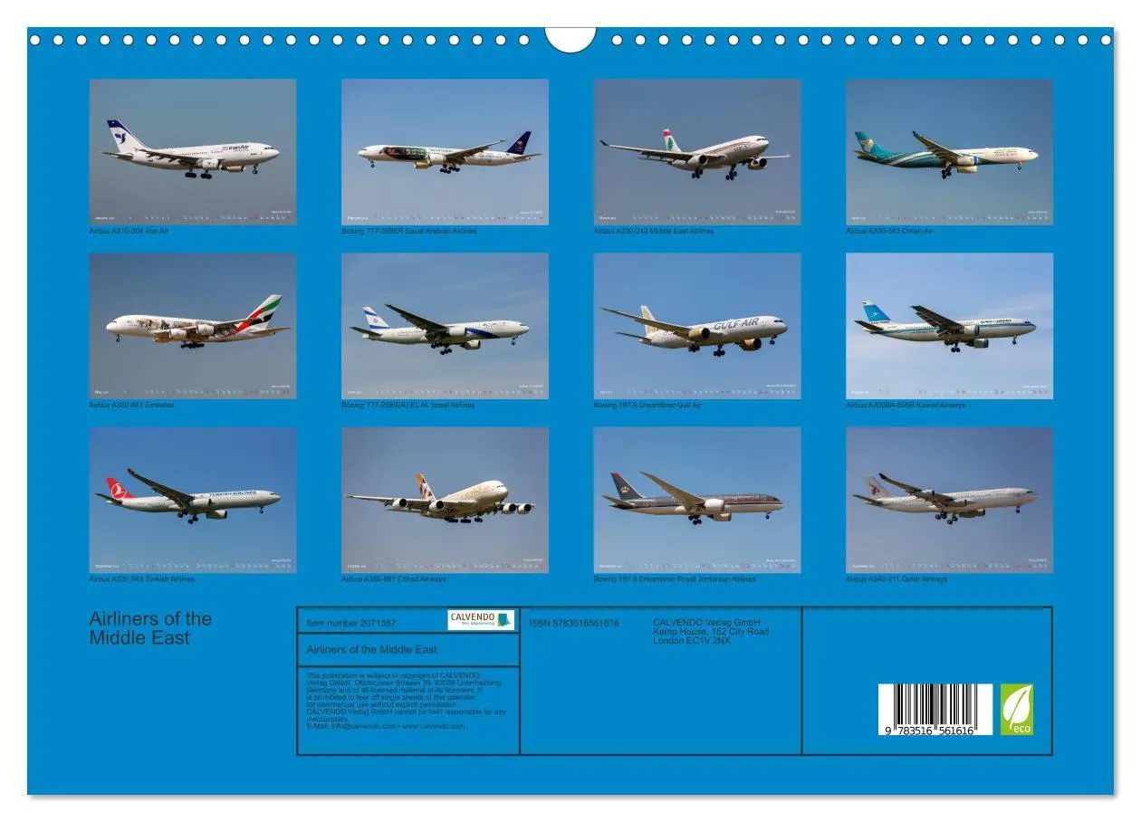 Bild: 9783516561616 | Airliners of the Middle East (Wall Calendar 2026 DIN A3 landscape),...