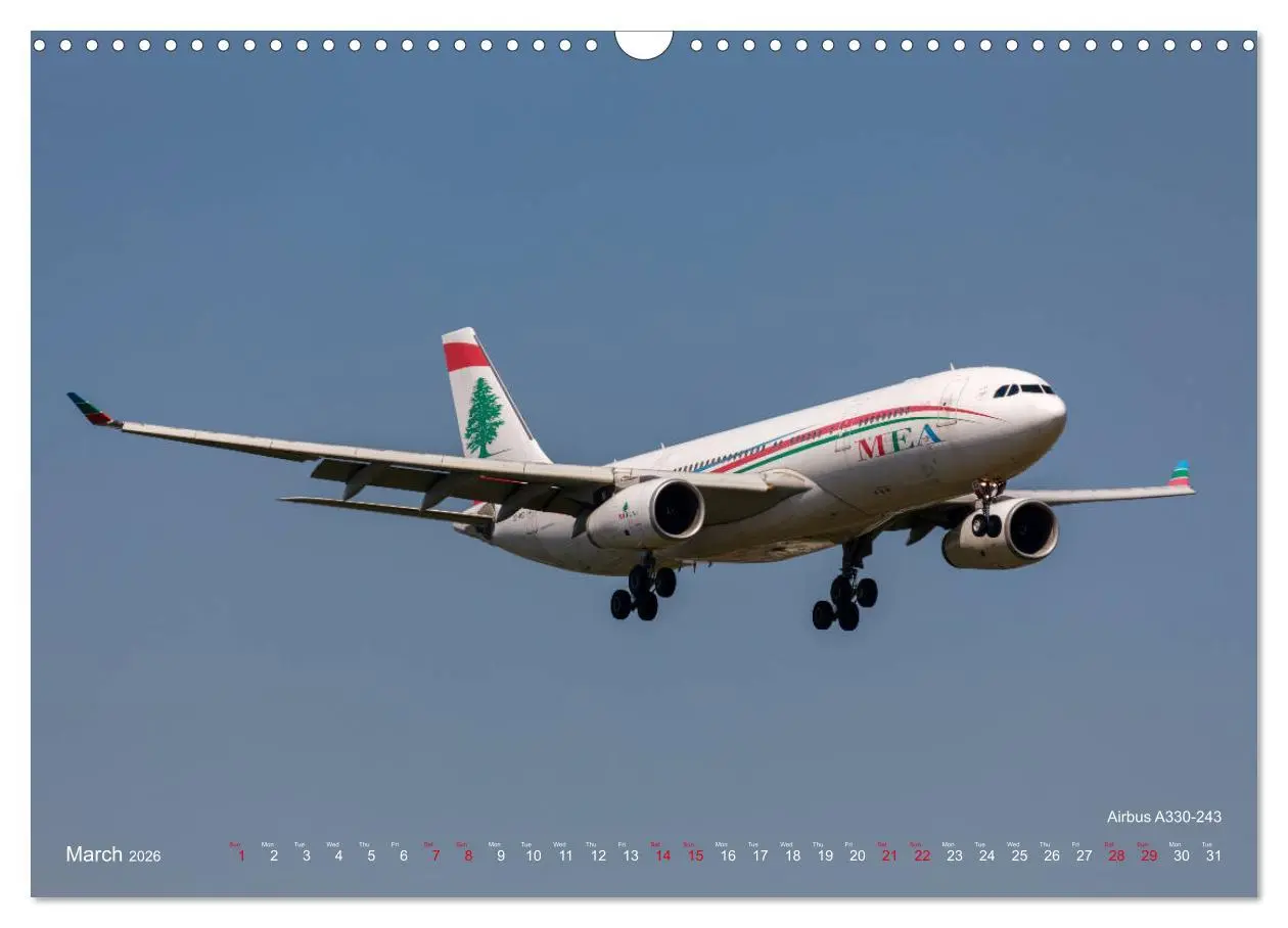 Bild: 9783516561616 | Airliners of the Middle East (Wall Calendar 2026 DIN A3 landscape),...