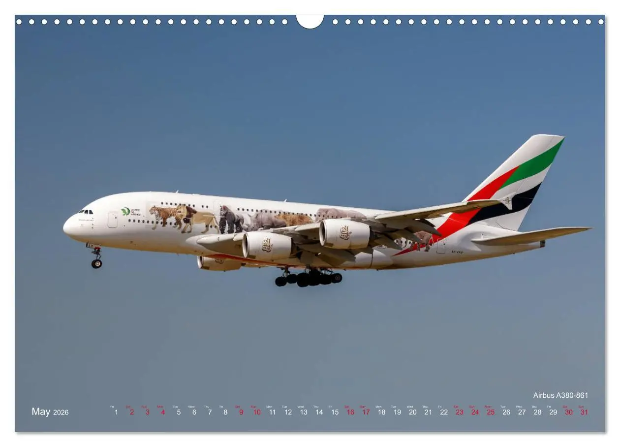 Bild: 9783516561616 | Airliners of the Middle East (Wall Calendar 2026 DIN A3 landscape),...