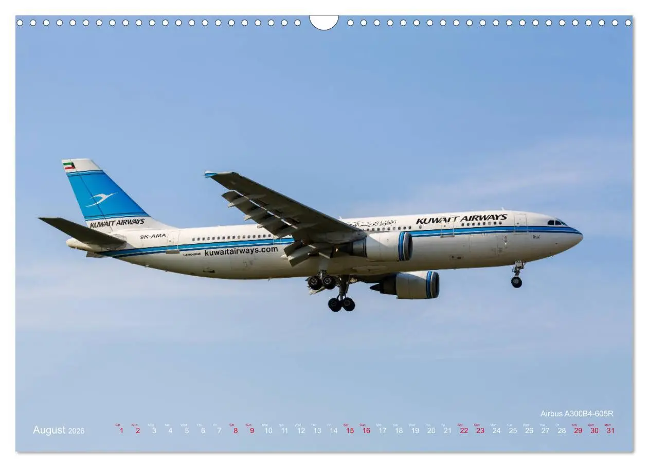 Bild: 9783516561616 | Airliners of the Middle East (Wall Calendar 2026 DIN A3 landscape),...