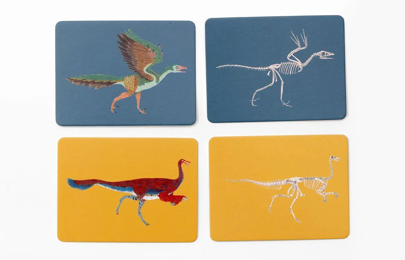 Bild: 9783962441616 | Dinos &amp; ihre Knochen | Ein Memo-Spiel | Paul Upchurch | Spiel | 50 S.