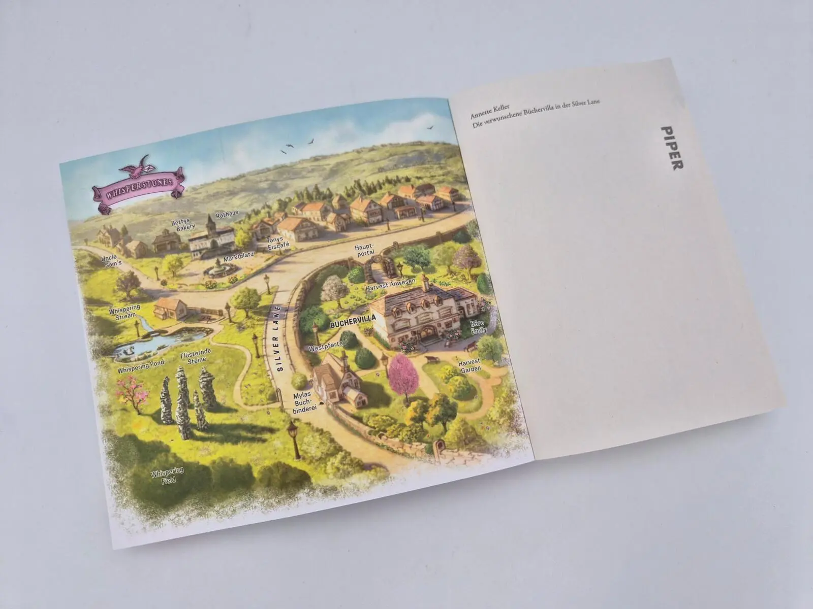 Bild: 9783492321716 | Die verwunschene Büchervilla in der Silver Lane | Annette Keller