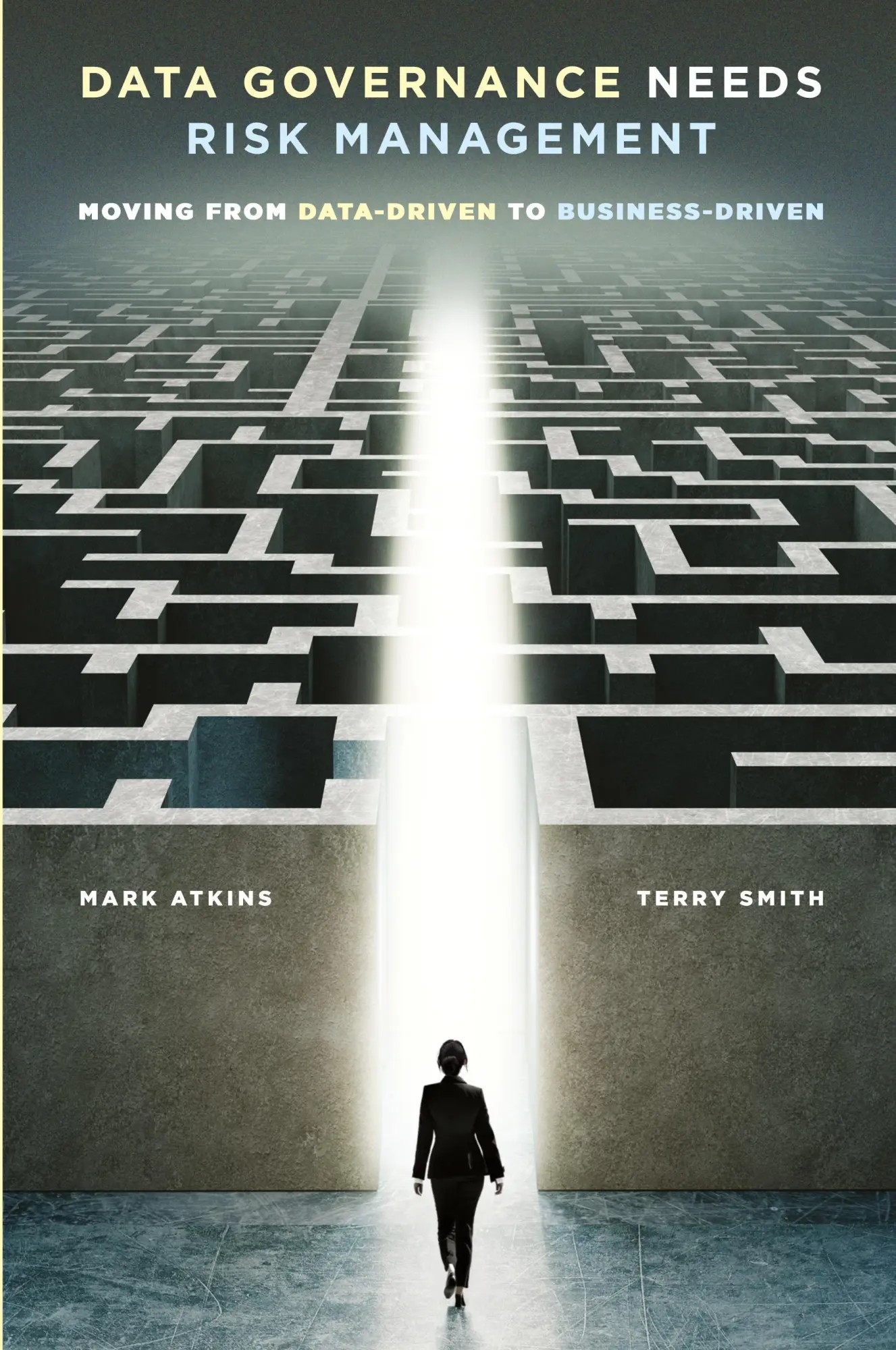 Cover: 9781634621816 | Data Governance Needs Risk Management | Mark Atkins (u. a.) | Buch