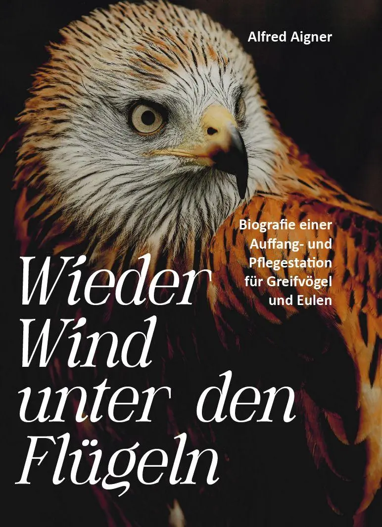 Cover: 9783758101816 | Wieder Wind unter den Flügeln | Alfred Aigner | Buch | Deutsch | 2026