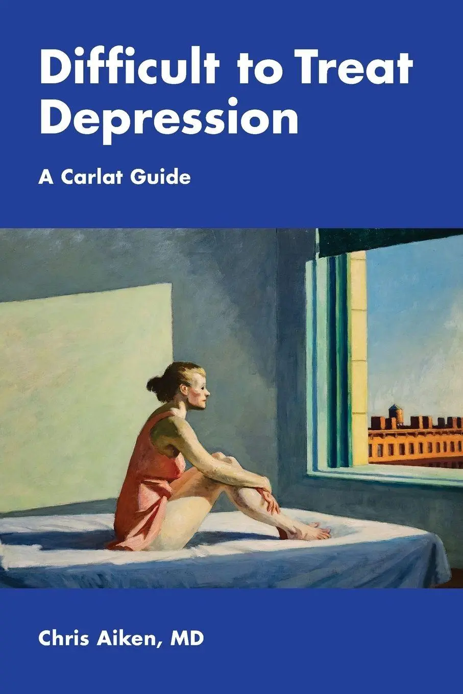 Cover: 9798999881816 | Difficult to Treat Depression | A Carlat Guide | Chris Aiken | Buch